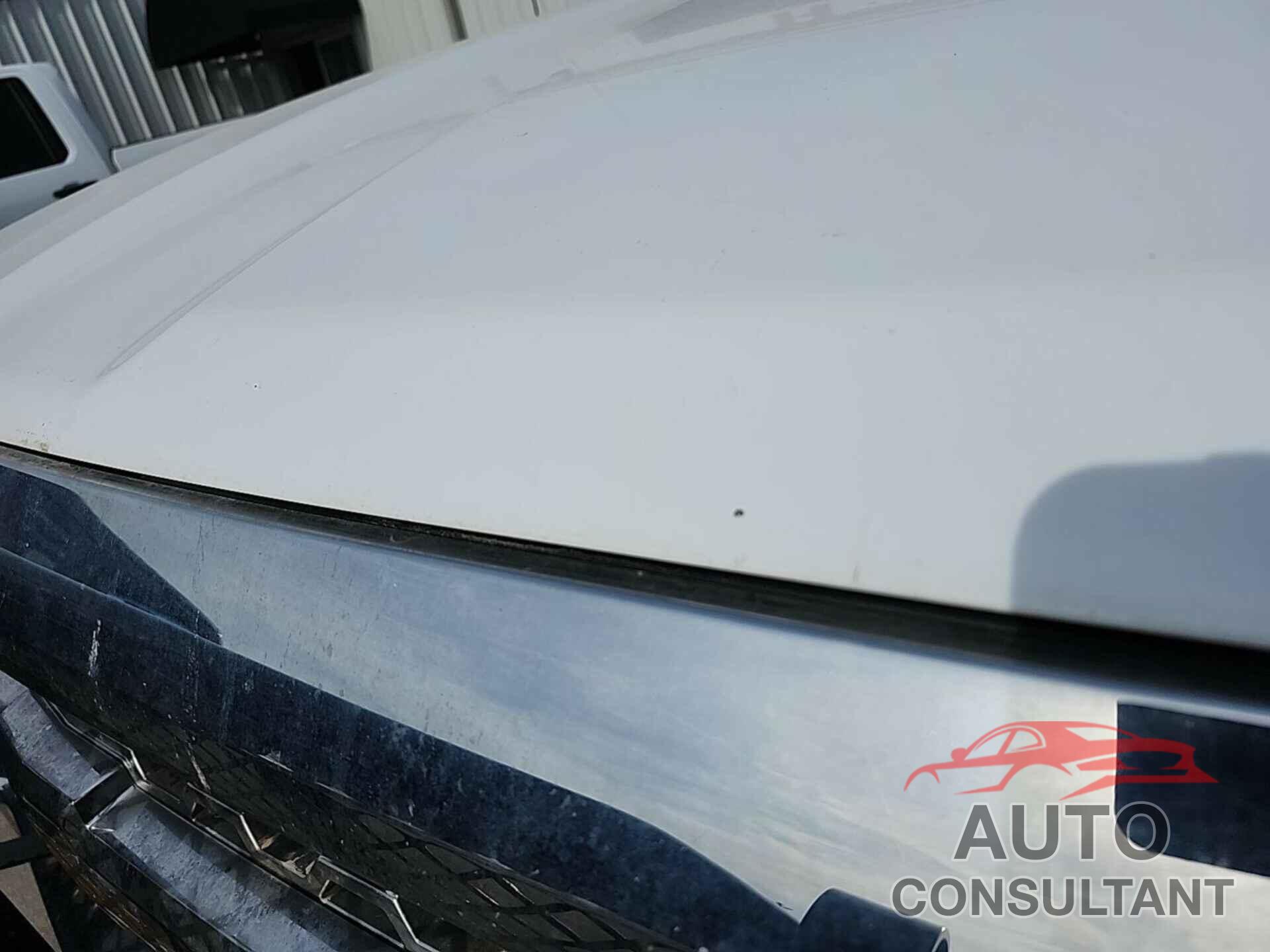 CHEVROLET SILVERADO 2019 - 2GC2KREG9K1155599