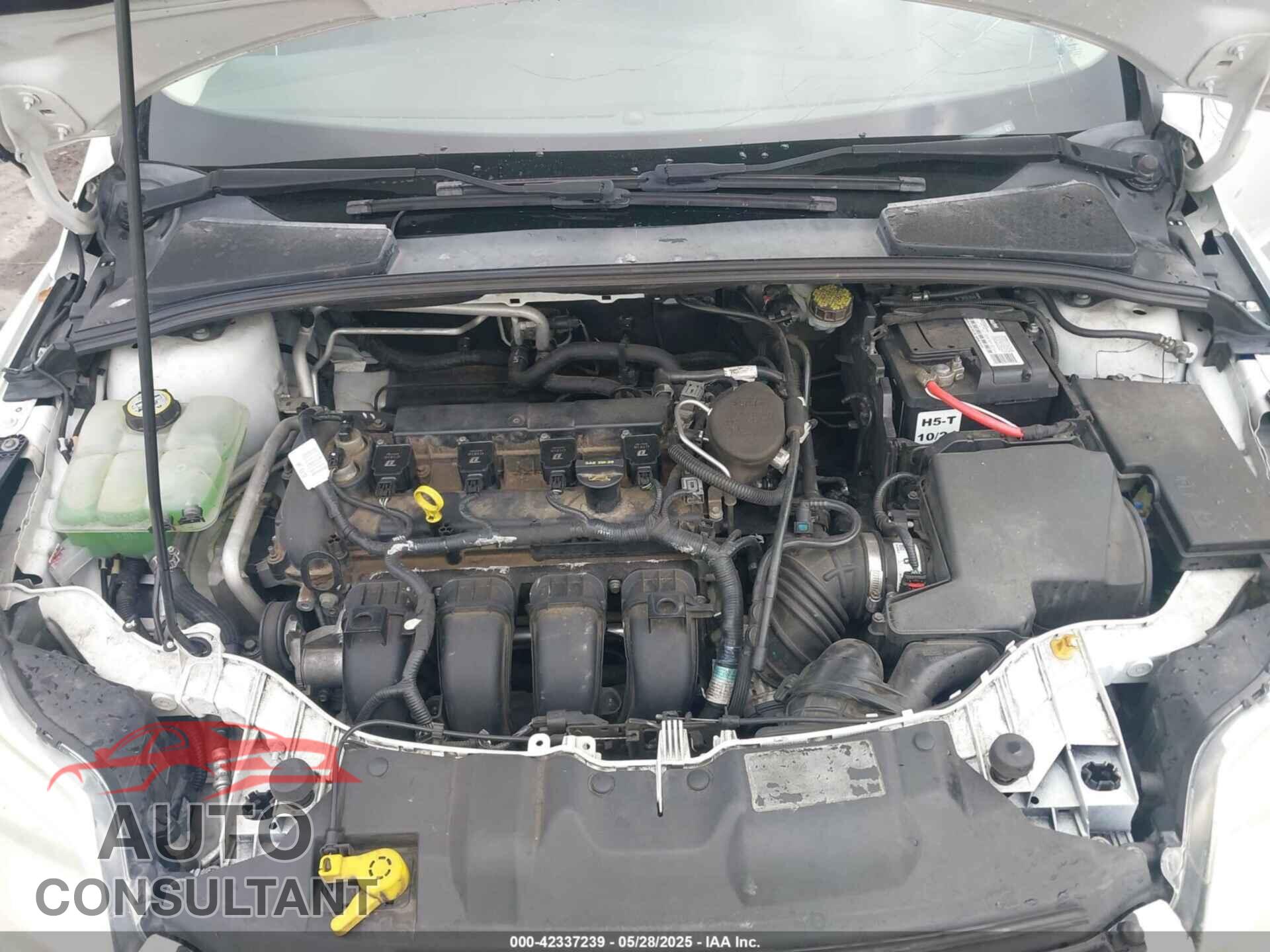 FORD FOCUS 2012 - 1FAHP3M21CL252084