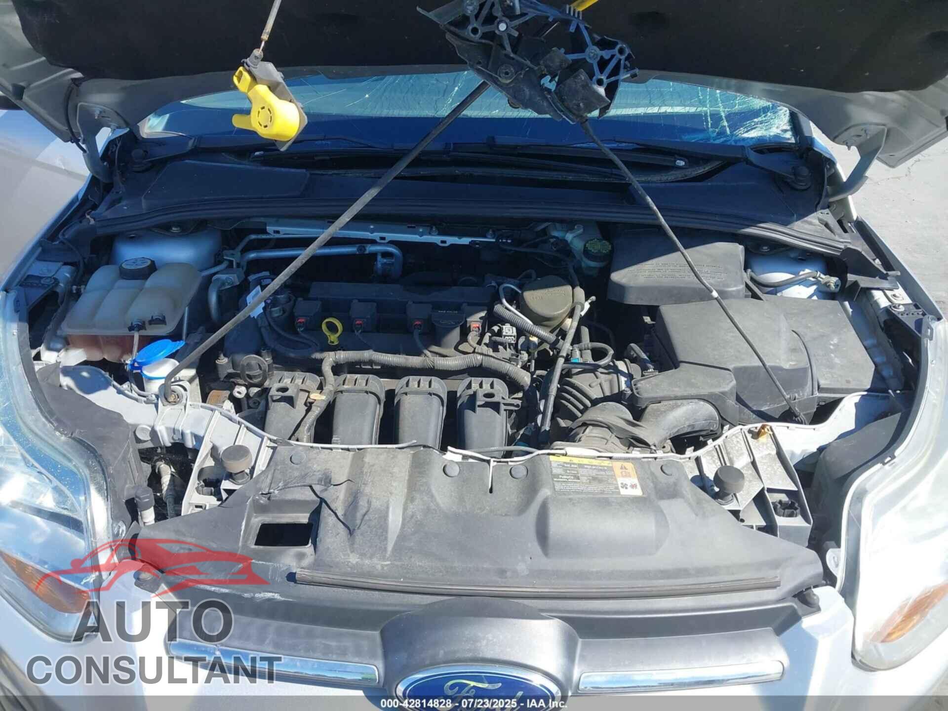 FORD FOCUS 2013 - 1FADP3K2XDL313905