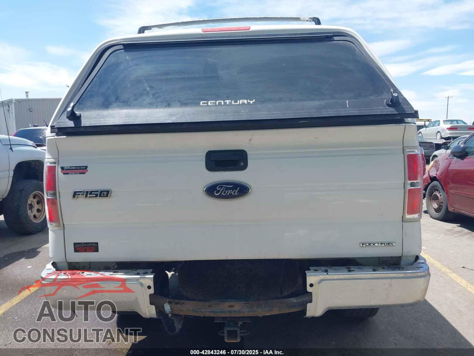 FORD F-150 2014 - 1FTFW1EF9EFC19135