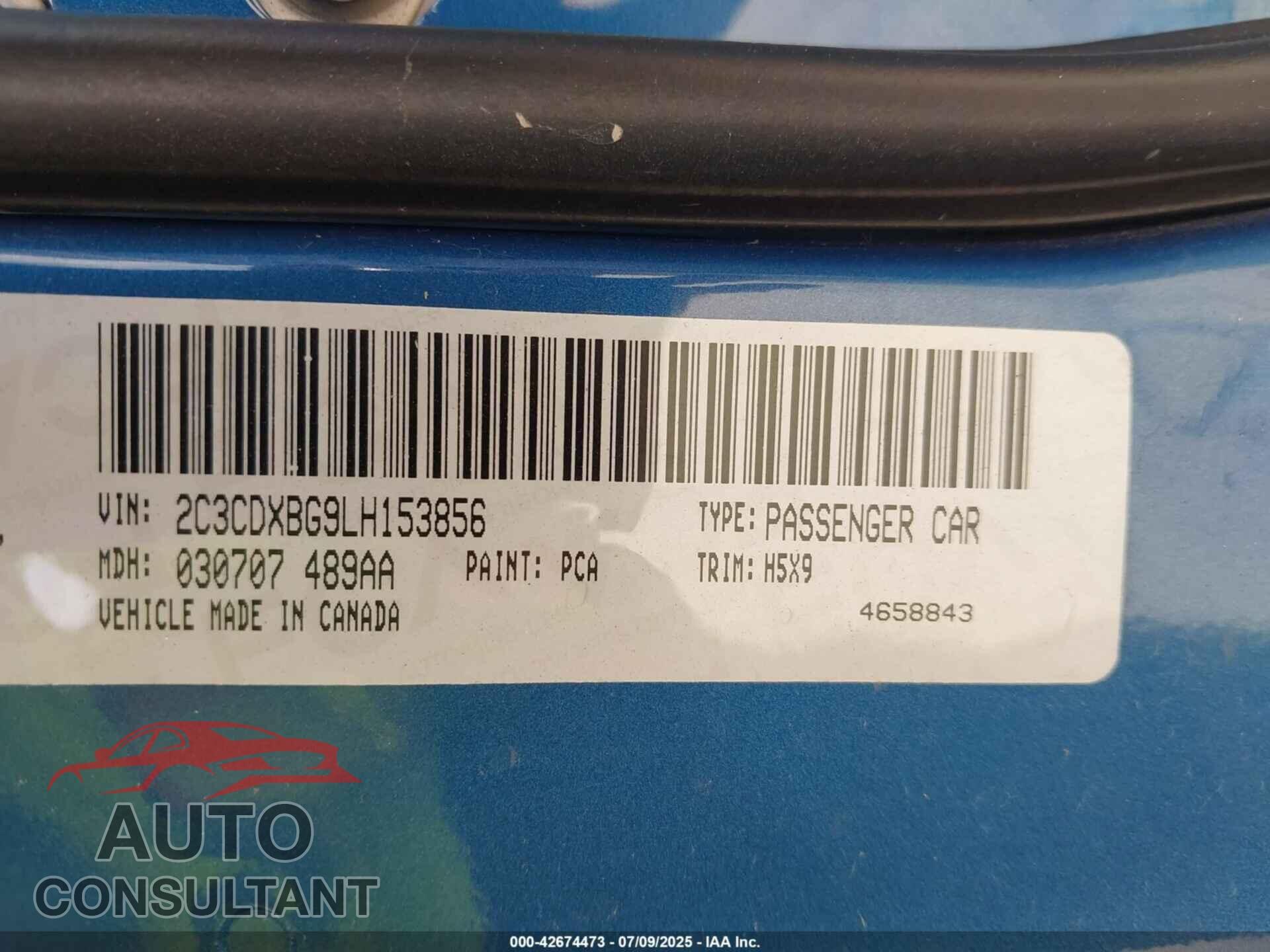 DODGE CHARGER 2020 - 2C3CDXBG9LH153856