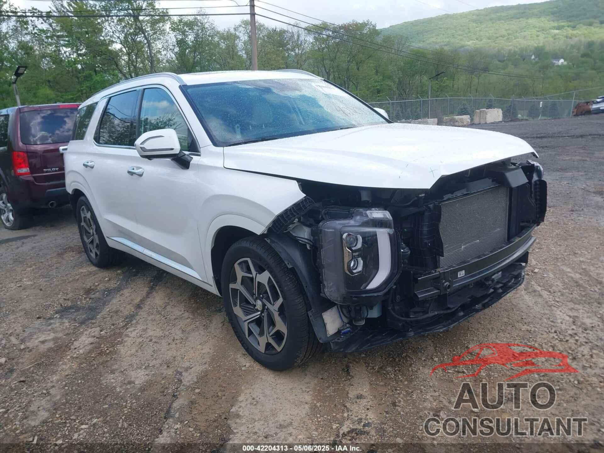 HYUNDAI PALISADE 2021 - KM8R7DHEXMU183458