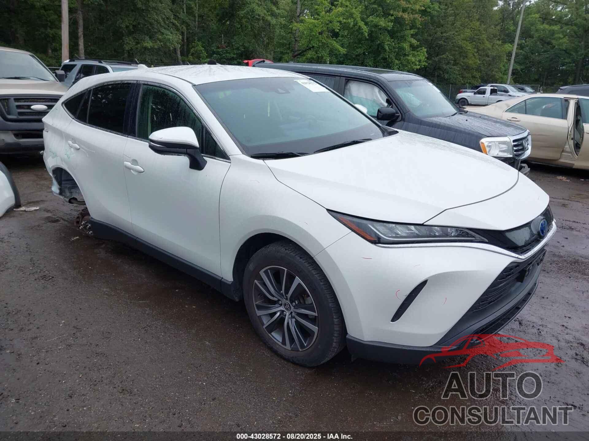 TOYOTA VENZA 2022 - JTEAAAAH2NJ099185