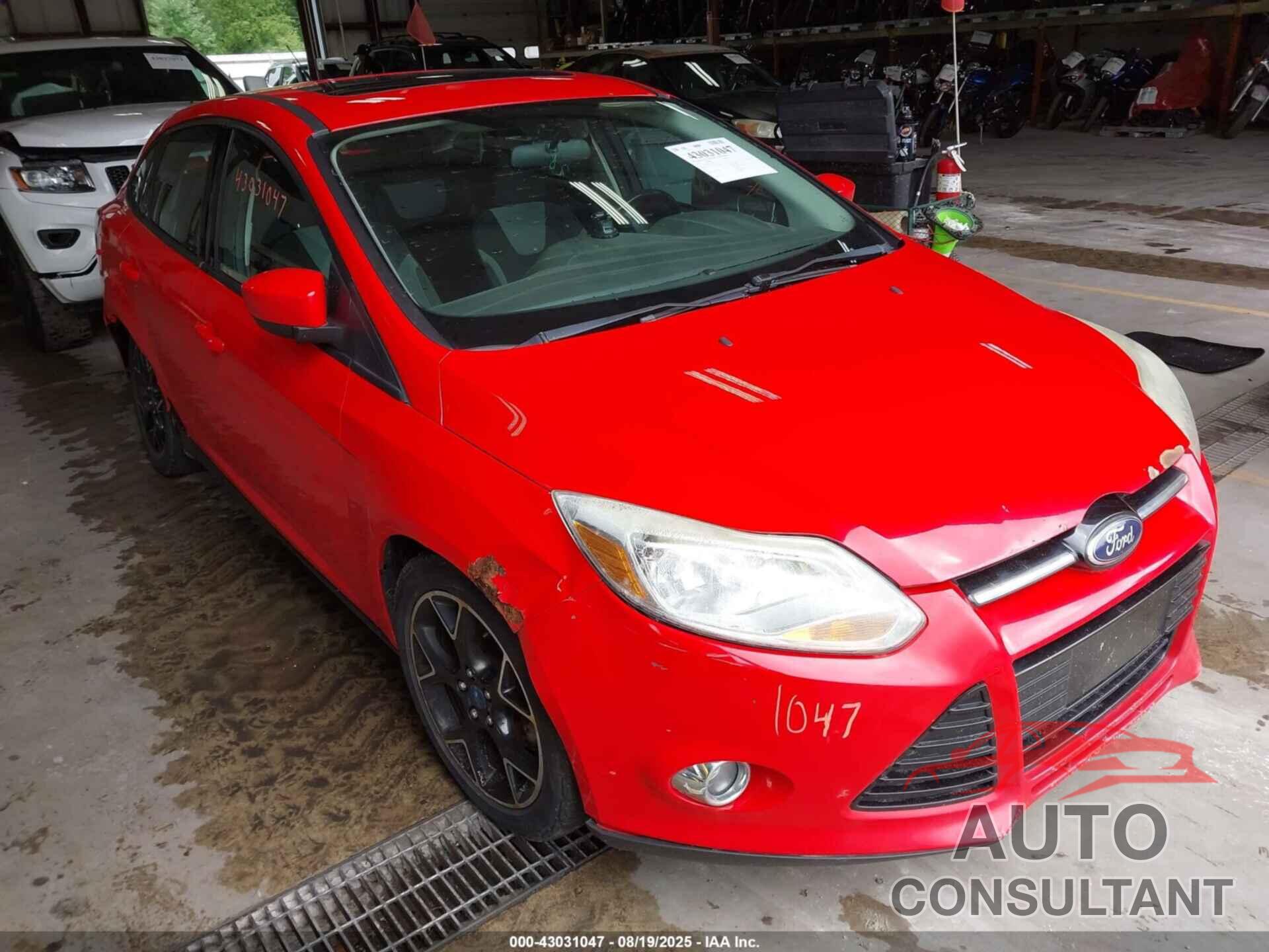 FORD FOCUS 2012 - 1FAHP3F21CL409349