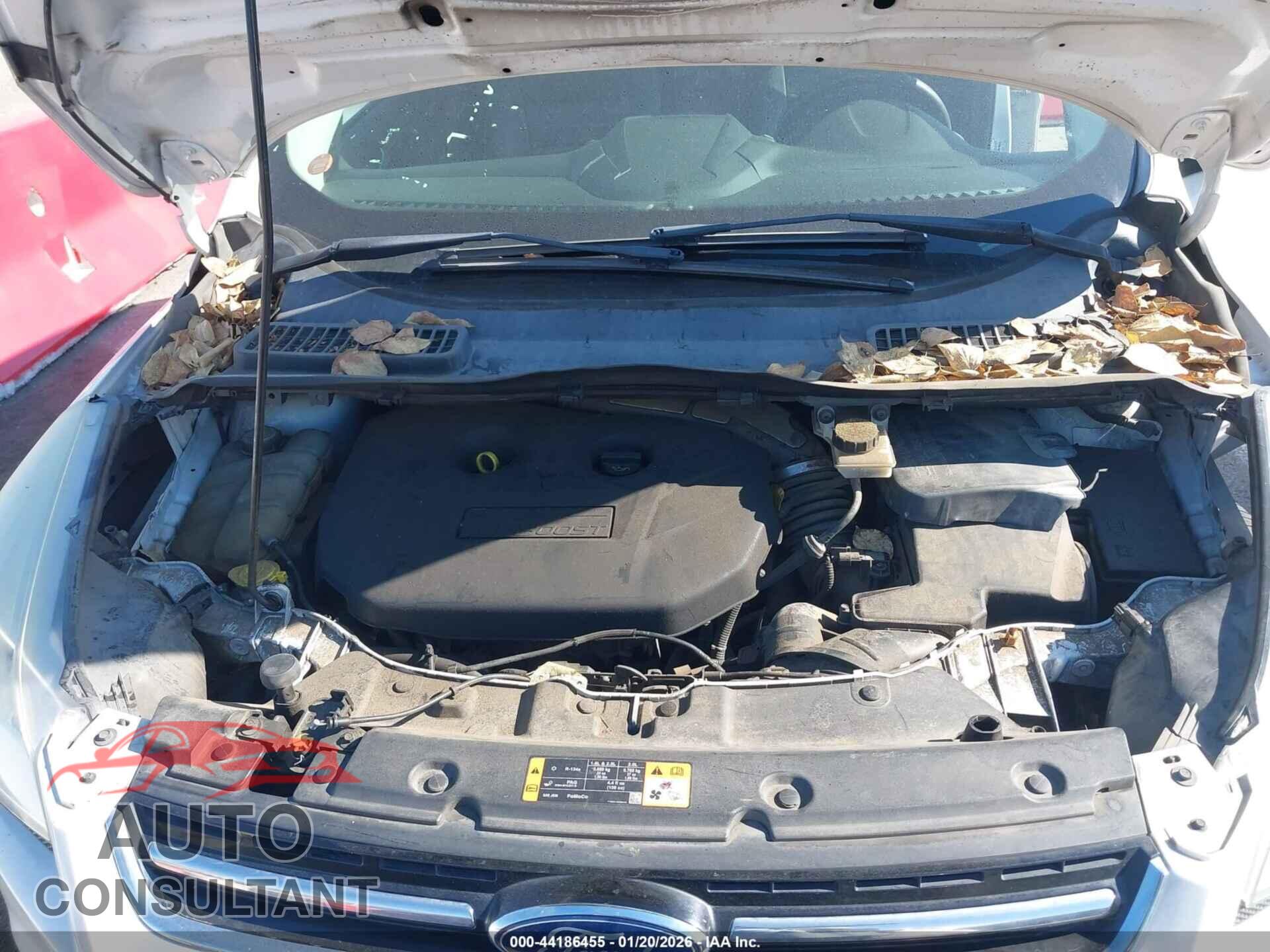 FORD ESCAPE 2013 - 1FMCU0H94DUA14904