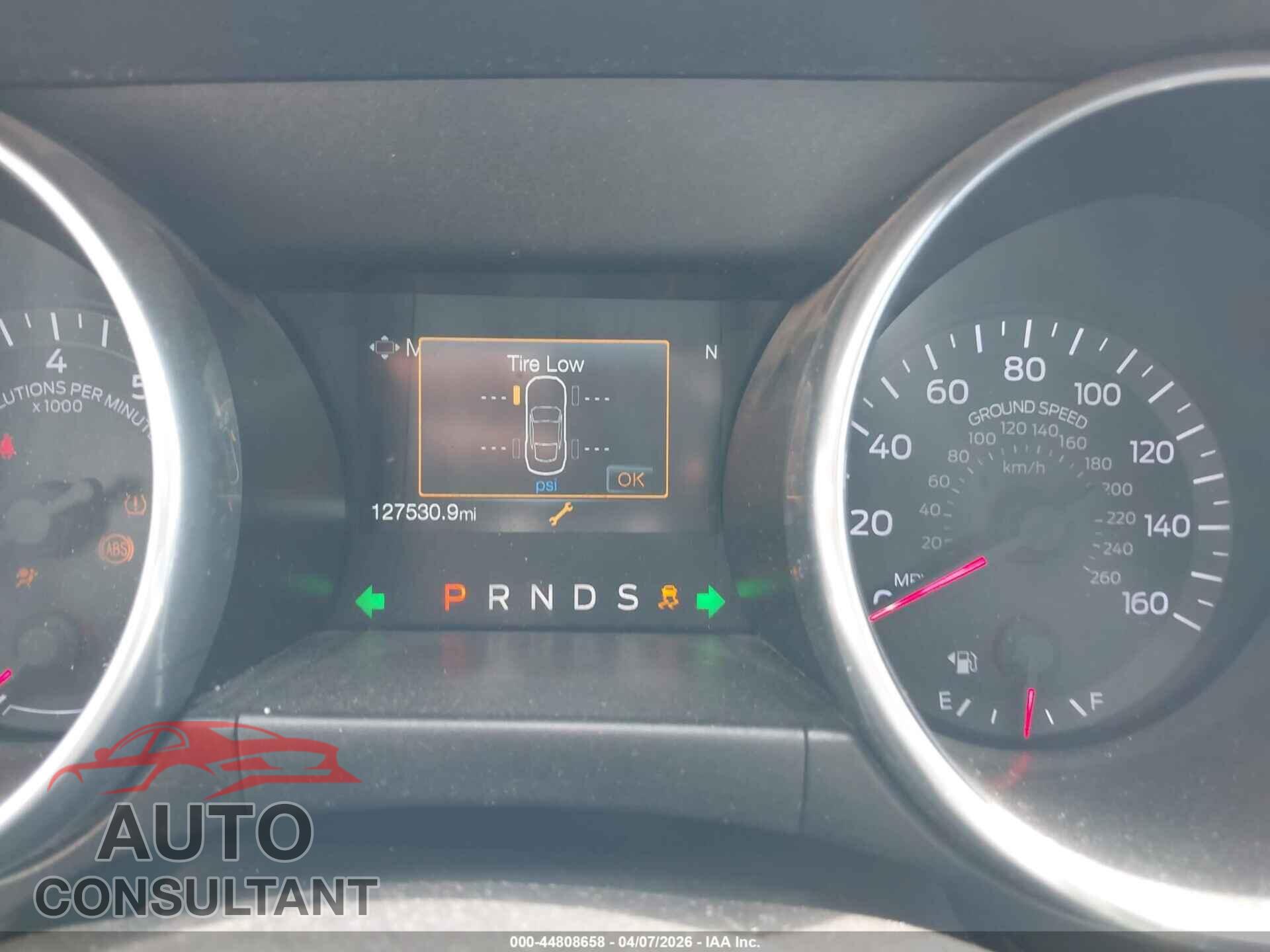 FORD MUSTANG 2019 - 1FA6P8CF6K5105982