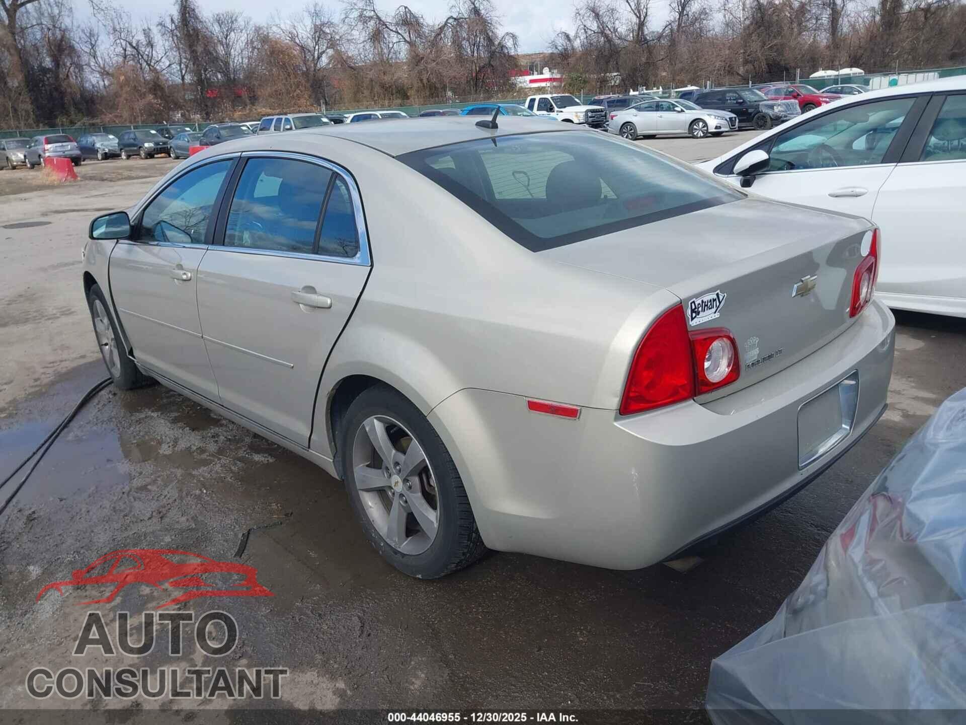 CHEVROLET MALIBU 2011 - 1G1ZC5E16BF217543