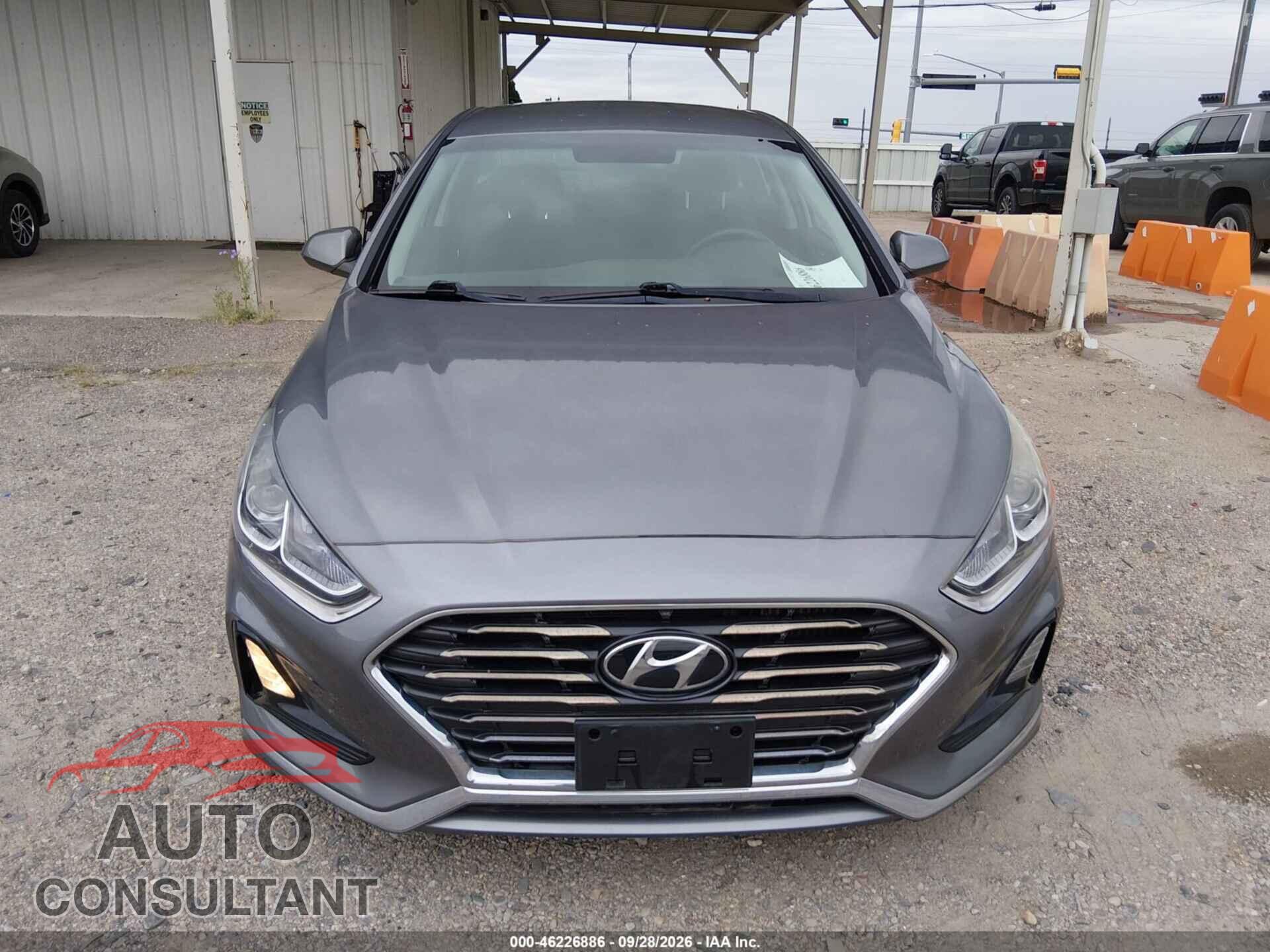 HYUNDAI SONATA 2019 - 5NPE24AA2KH802148
