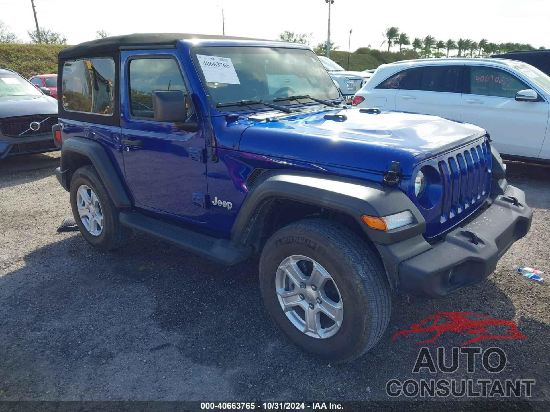 JEEP WRANGLER 2019 - 1C4GJXAG7KW532443