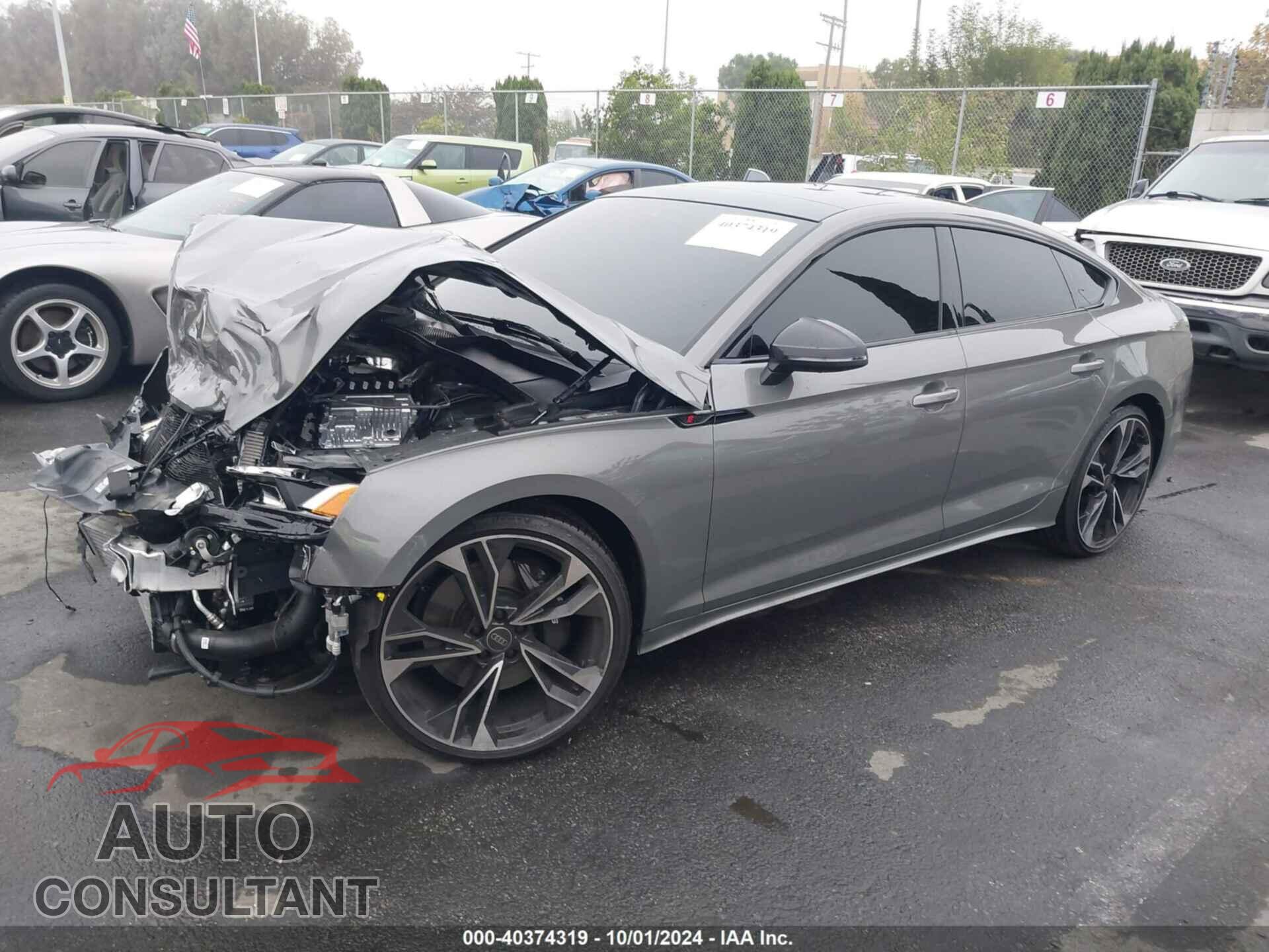 AUDI S5 2024 - WAUC4DF50RA111275