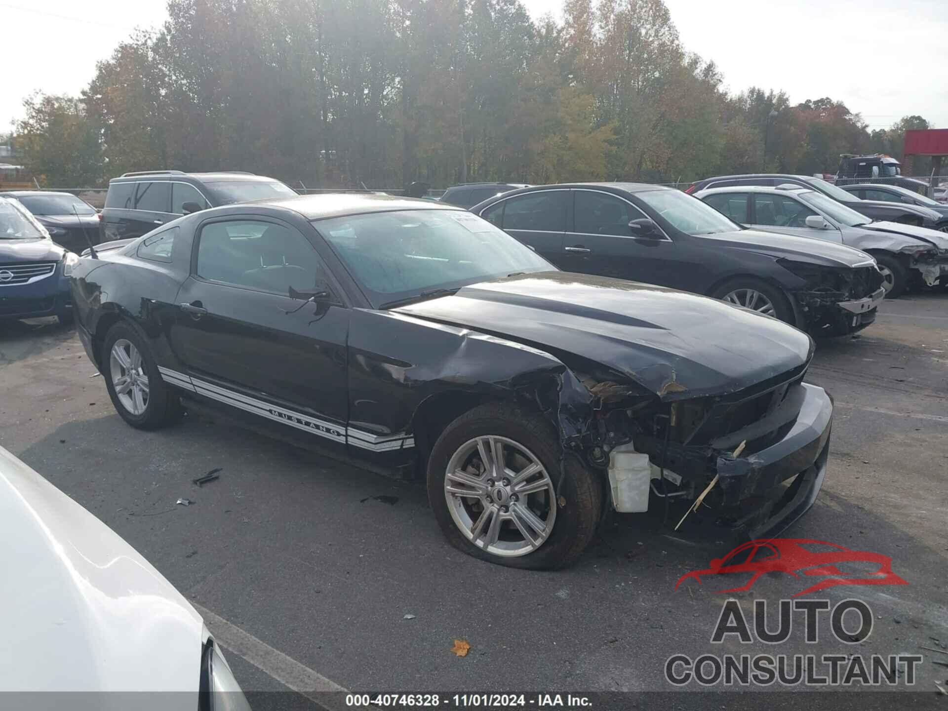 FORD MUSTANG 2011 - 1ZVBP8AM1B5149007