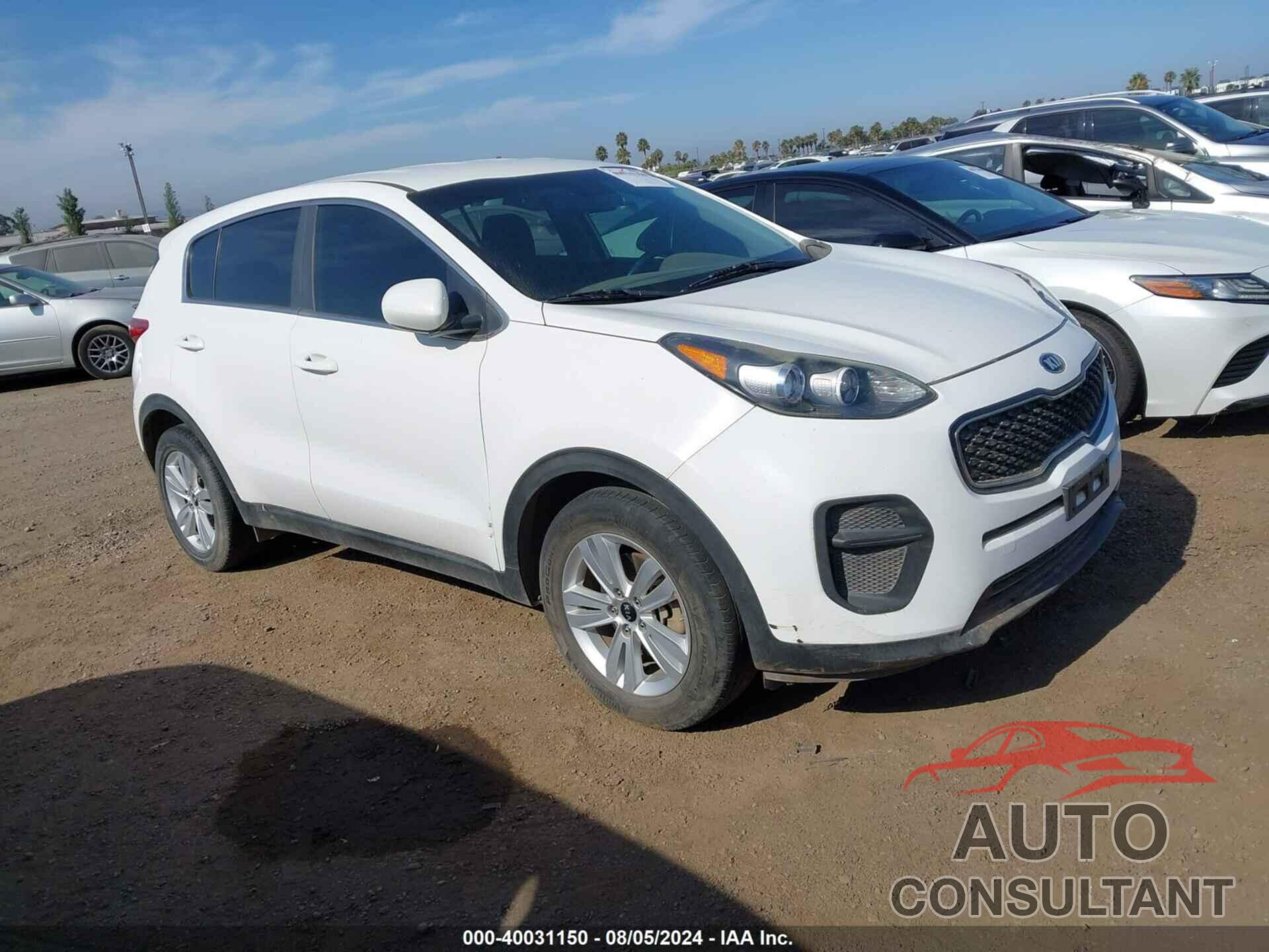 KIA SPORTAGE 2019 - KNDPM3AC1K7624252