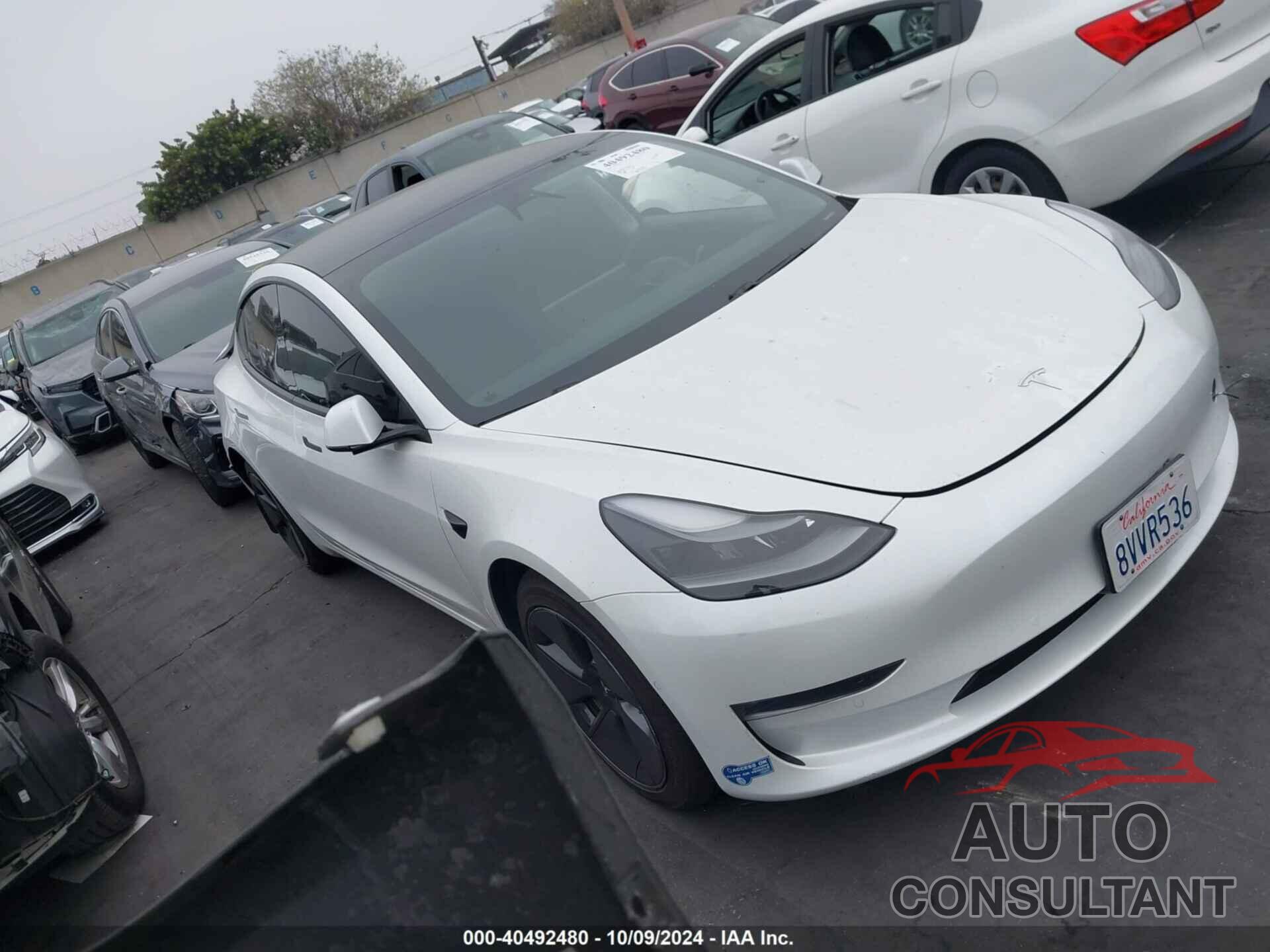 TESLA MODEL 3 2021 - 5YJ3E1EB9MF939038