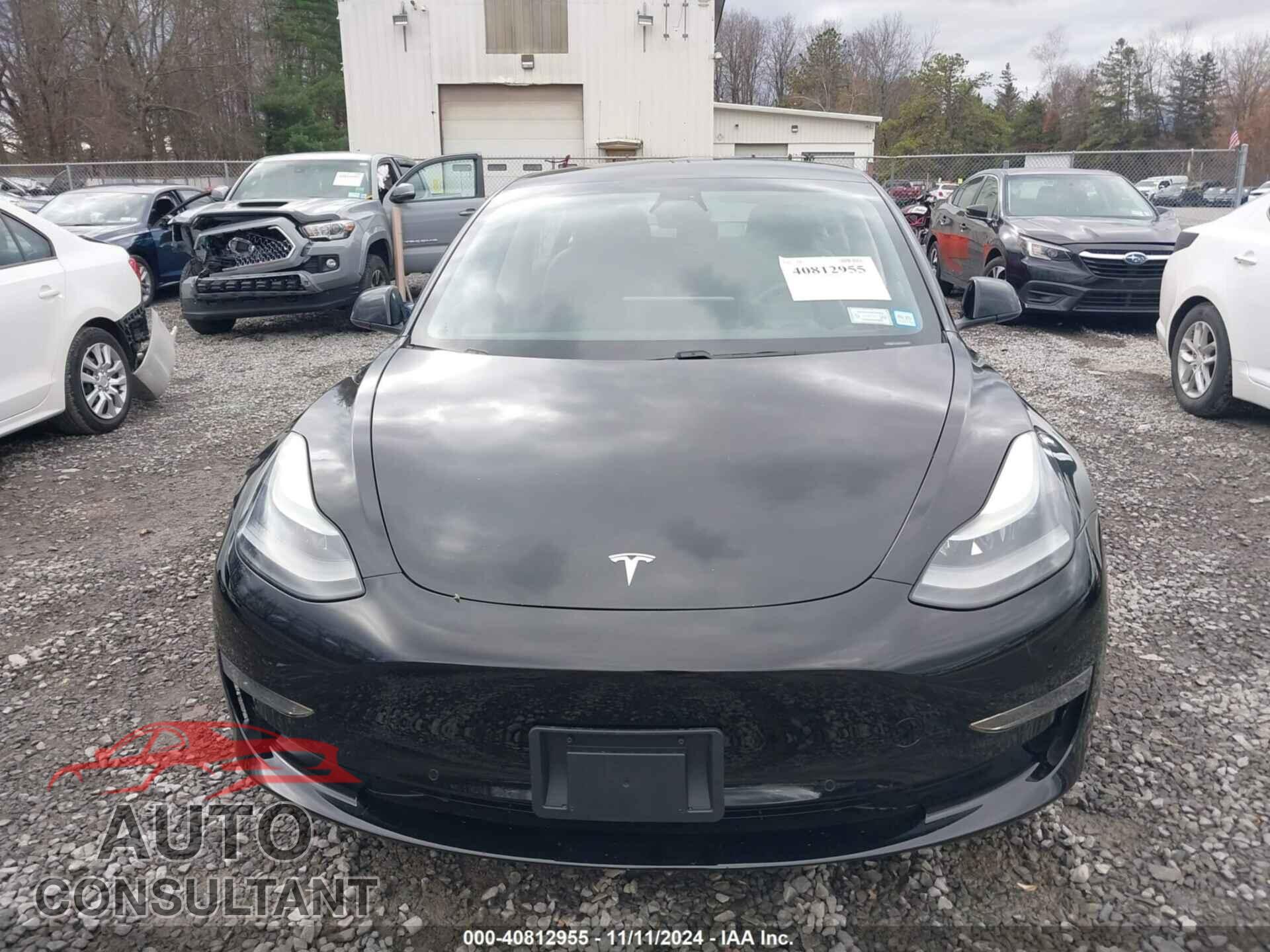 TESLA MODEL 3 2021 - 5YJ3E1EB6MF055901