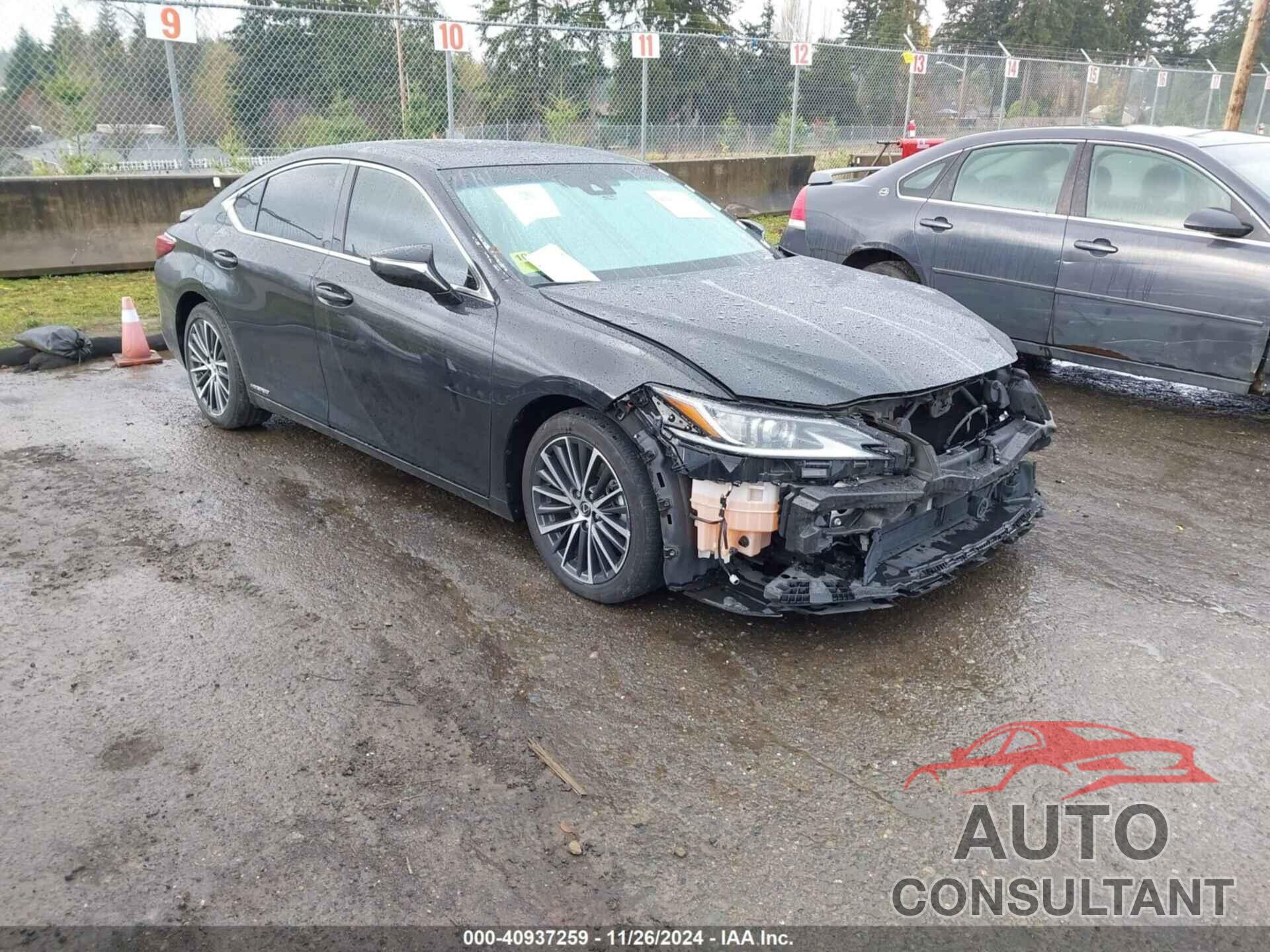 LEXUS ES 300H 2022 - 58ADA1C15NU026624