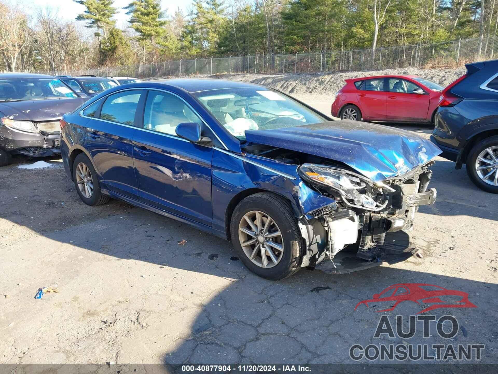 HYUNDAI SONATA 2019 - 5NPE24AF7KH754366