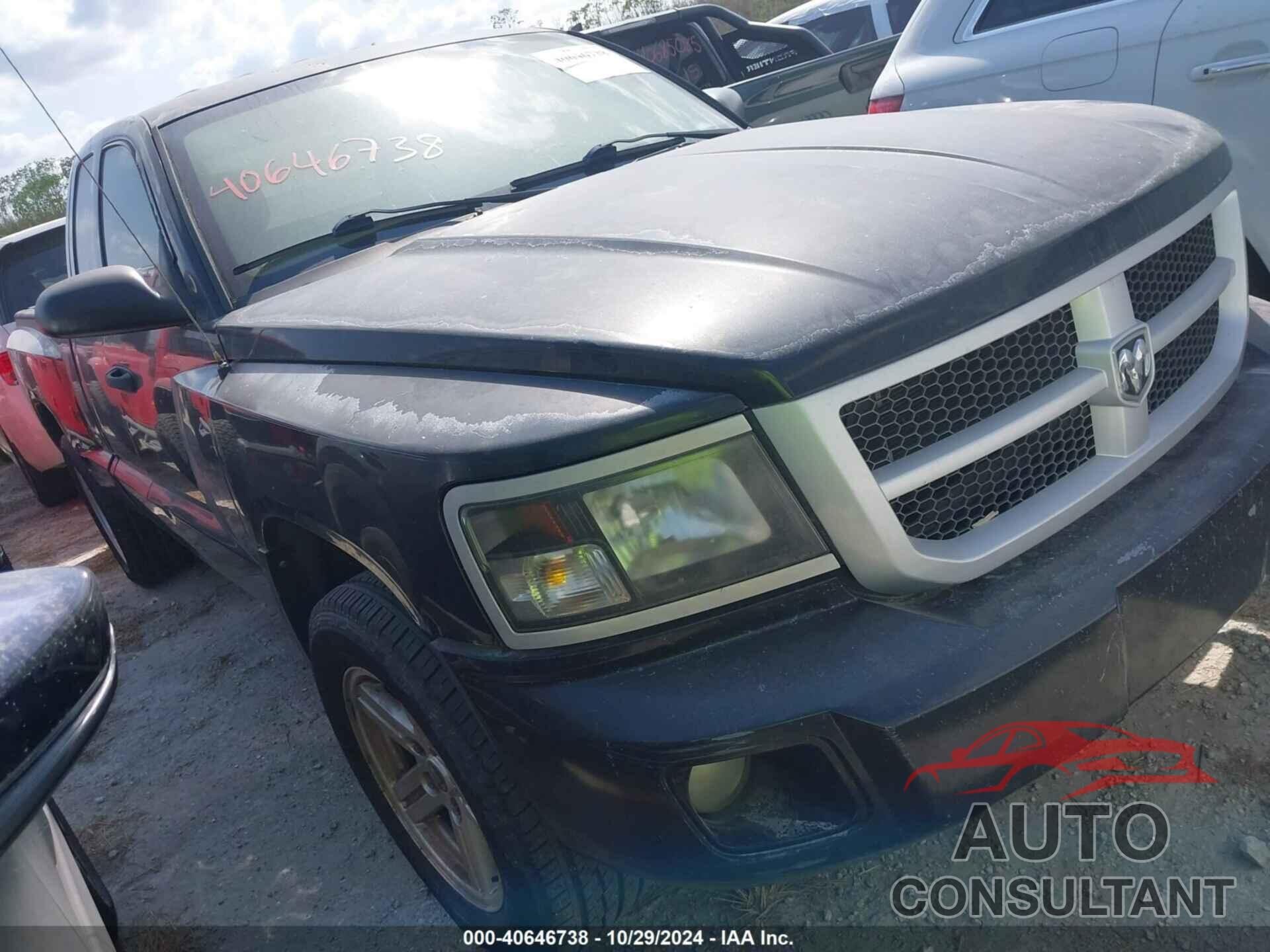 DODGE DAKOTA 2010 - 1D7CE3BK3AS164353