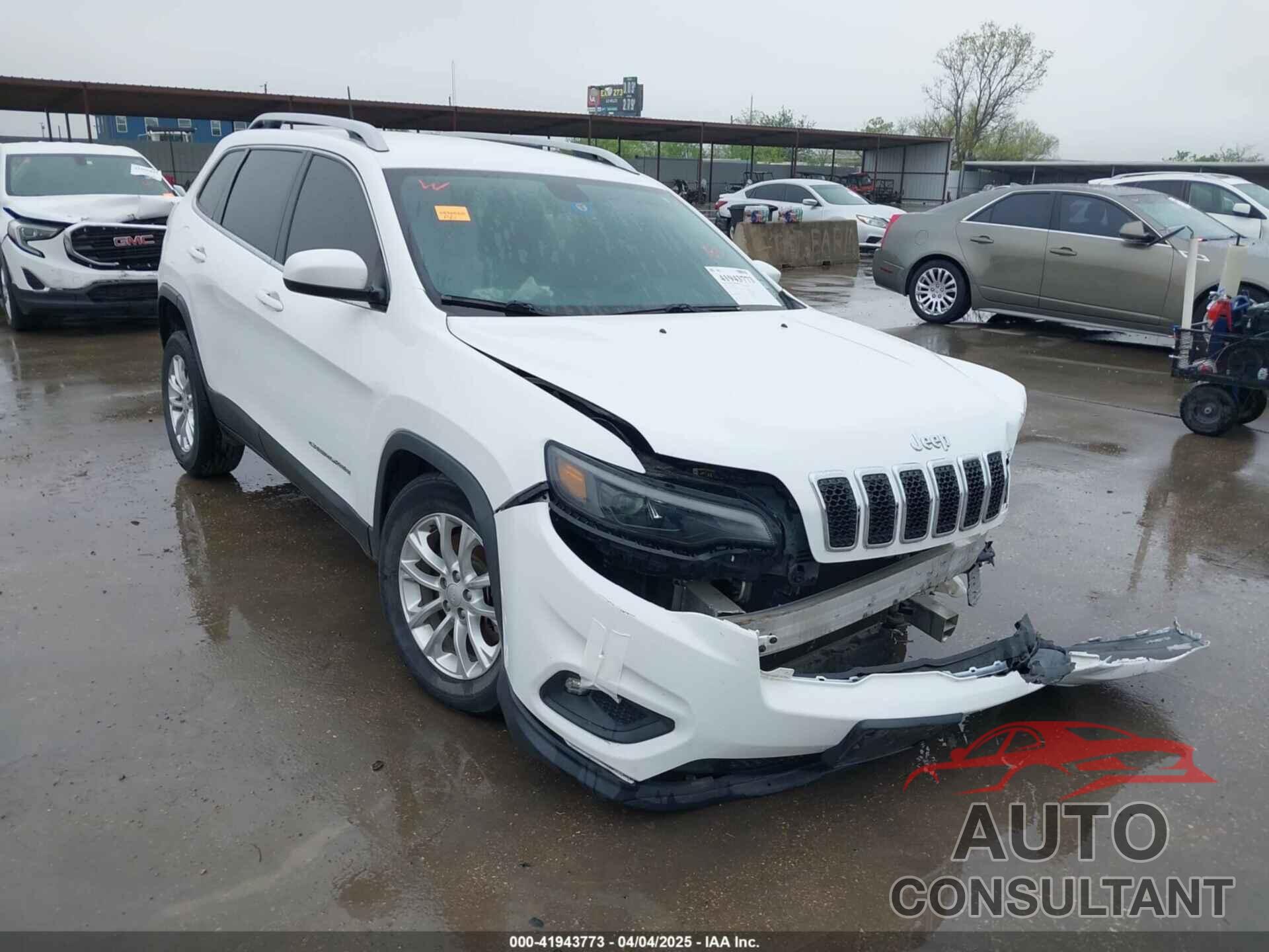 JEEP CHEROKEE 2019 - 1C4PJLCB6KD366373