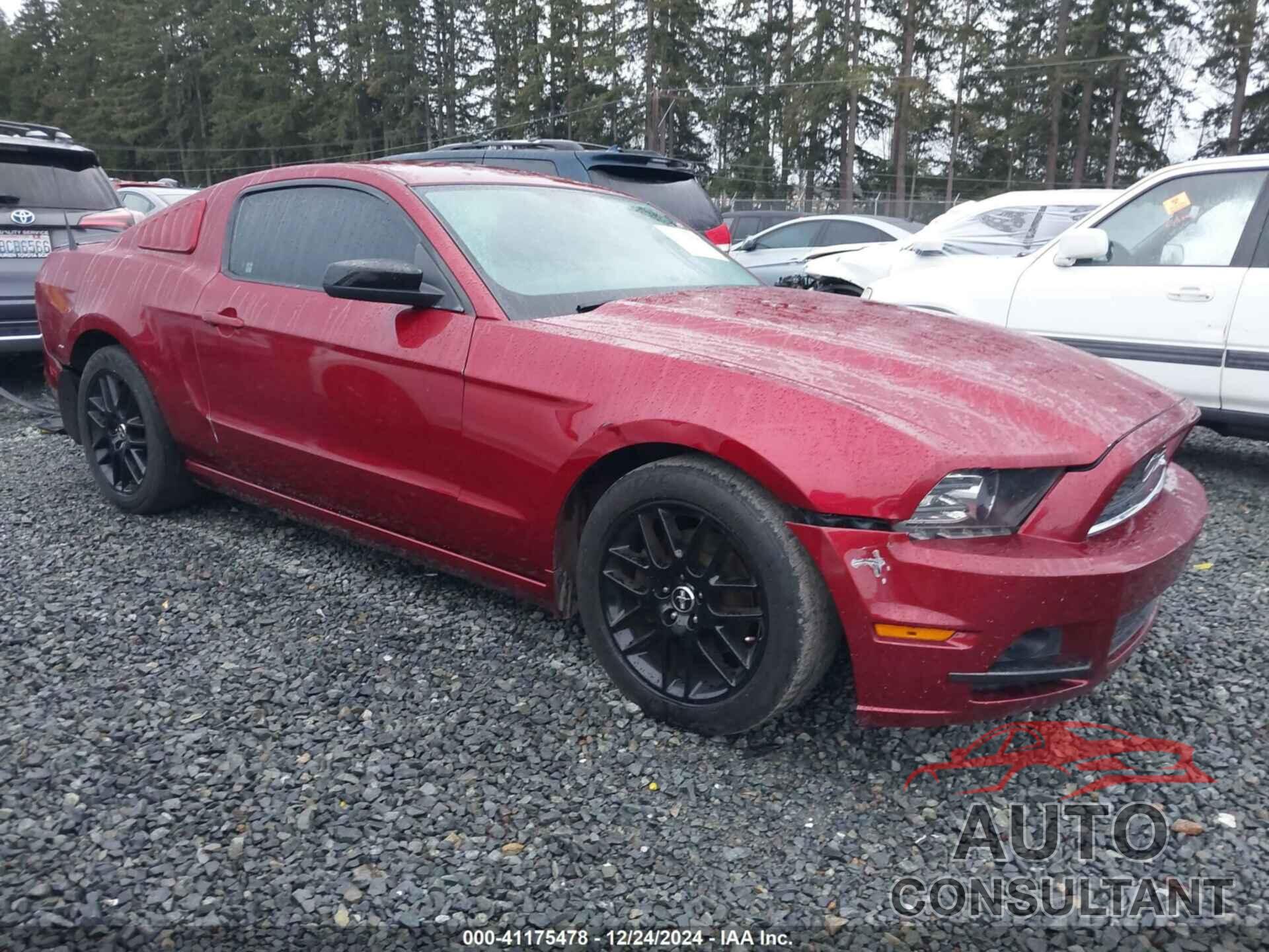 FORD MUSTANG 2014 - 1ZVBP8AM7E5269821