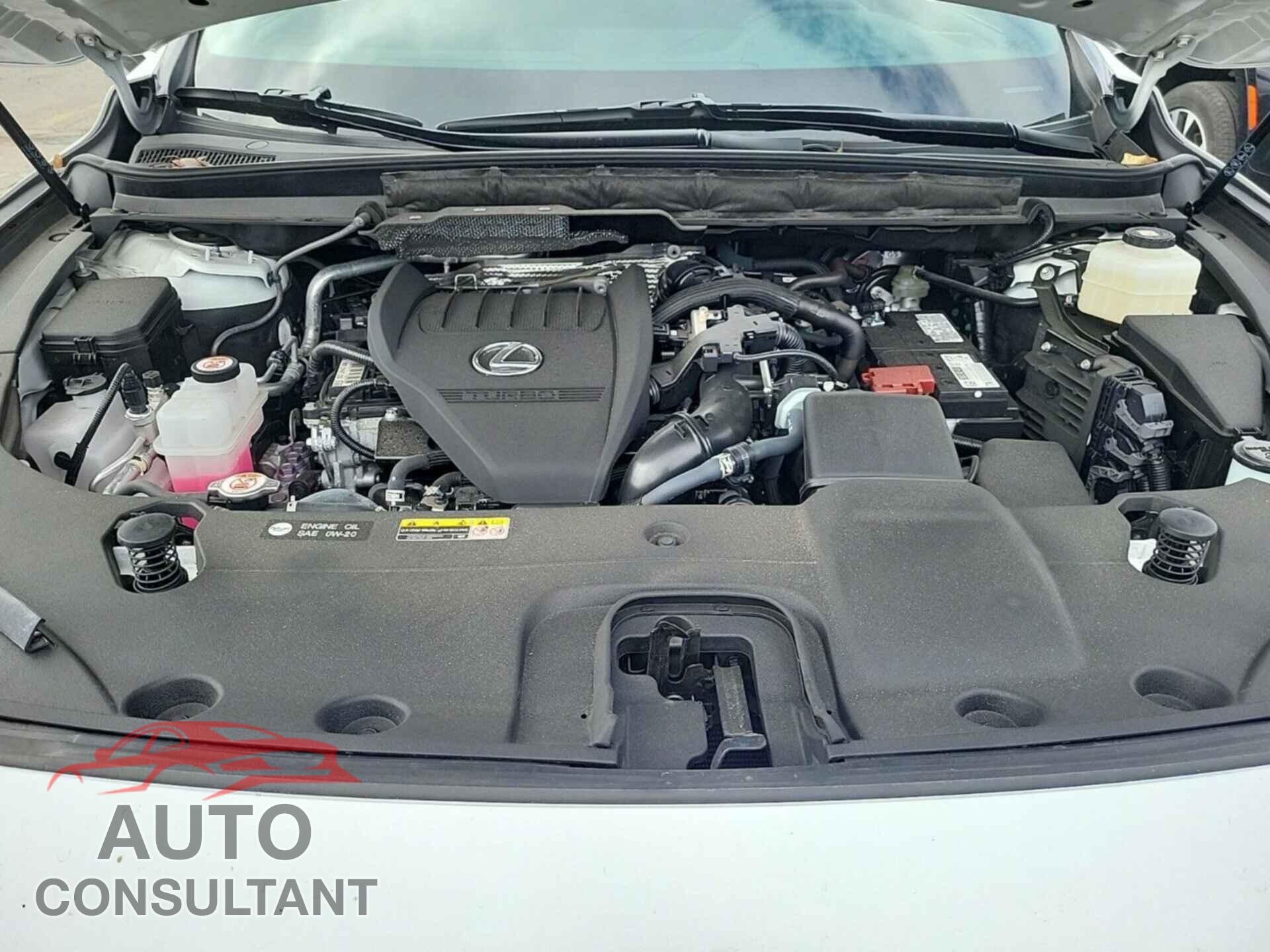 LEXUS RX 2023 - 2T2BAMCA5PC015767