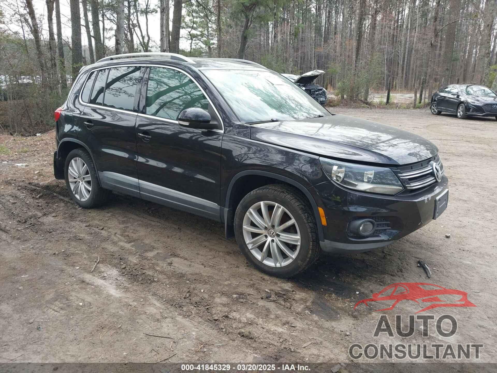 VOLKSWAGEN TIGUAN 2013 - WVGAV3AX3DW614302