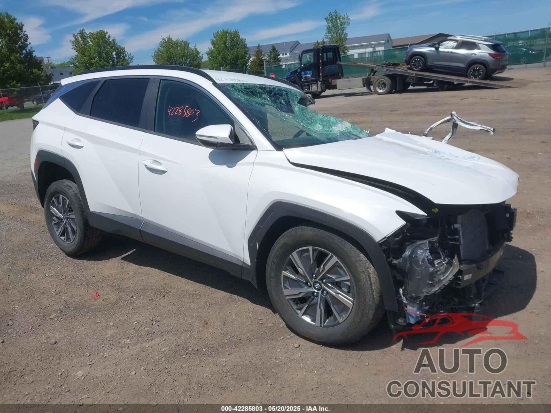 HYUNDAI TUCSON HYBRID 2022 - KM8JBCA12NU024674