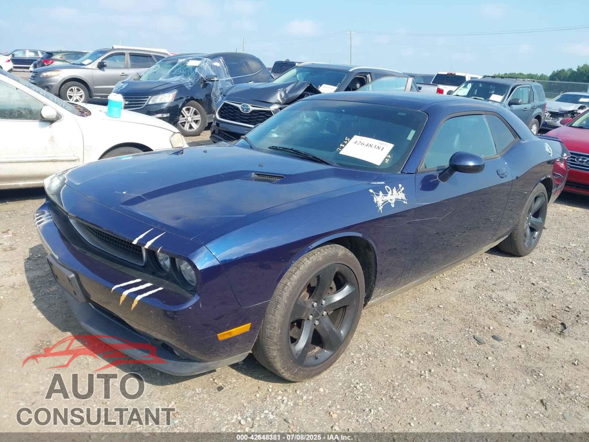 DODGE CHALLENGER 2013 - 2C3CDYAG9DH663407