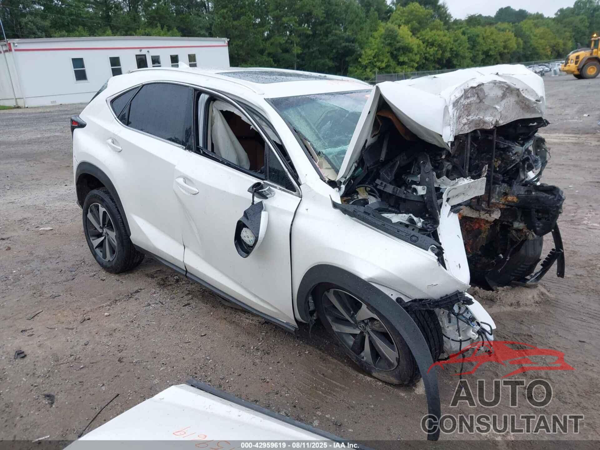 LEXUS NX 300 2018 - JTJYARBZ9J2093474