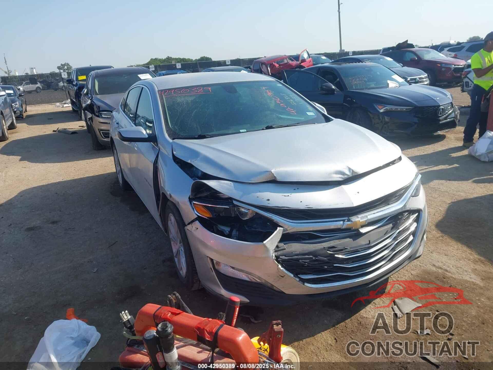 CHEVROLET MALIBU 2019 - 1G1ZD5ST3KF172936