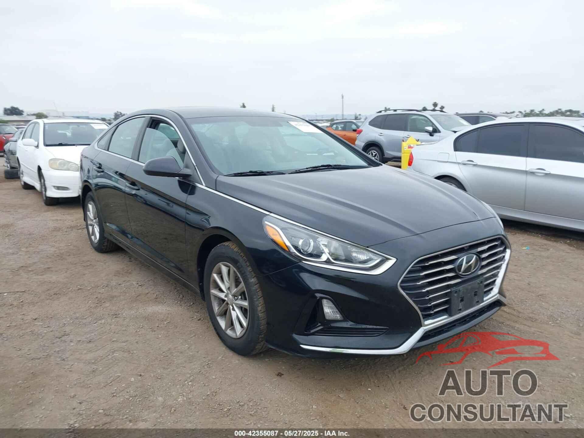 HYUNDAI SONATA 2019 - 5NPE24AFXKH802555