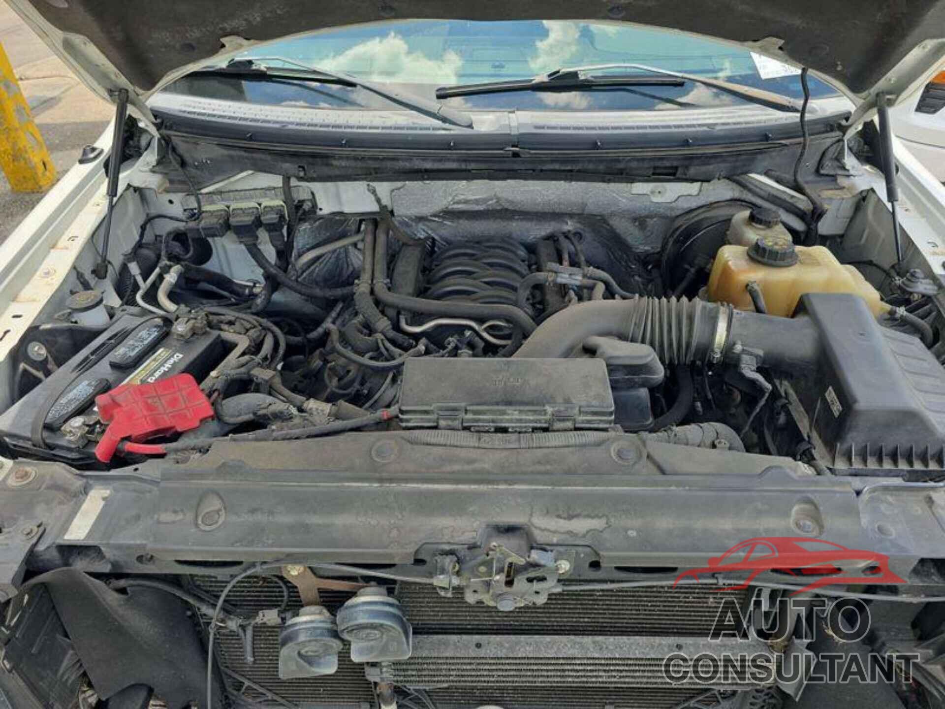 FORD F150 2013 - 1FTFW1CF6DKD86951