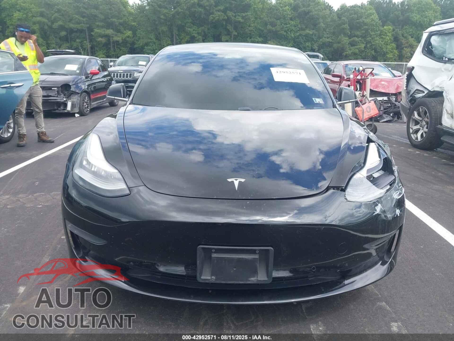 TESLA MODEL 3 2019 - 5YJ3E1EA2KF399150