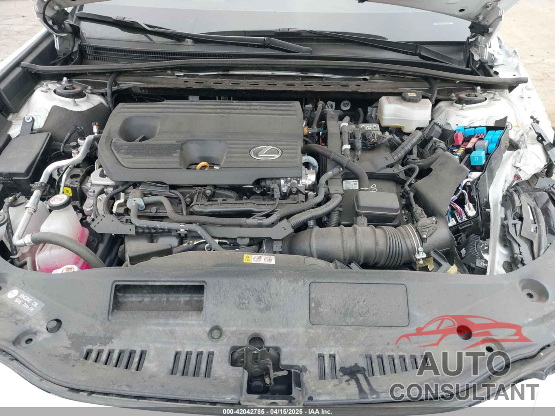 LEXUS ES 300H 2024 - 58ADA1C13RU041919