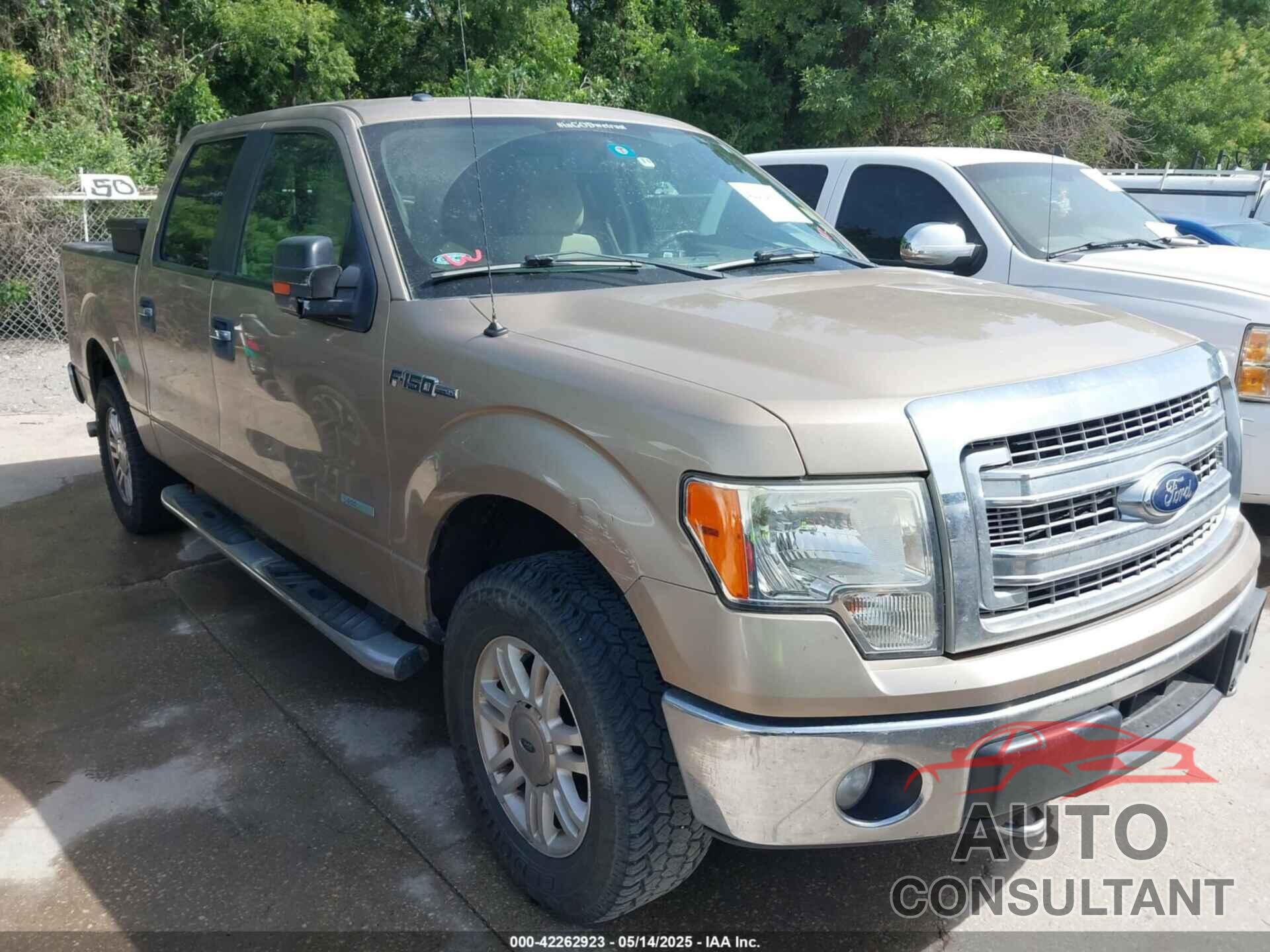 FORD F-150 2014 - 1FTFW1ET7EKE31321