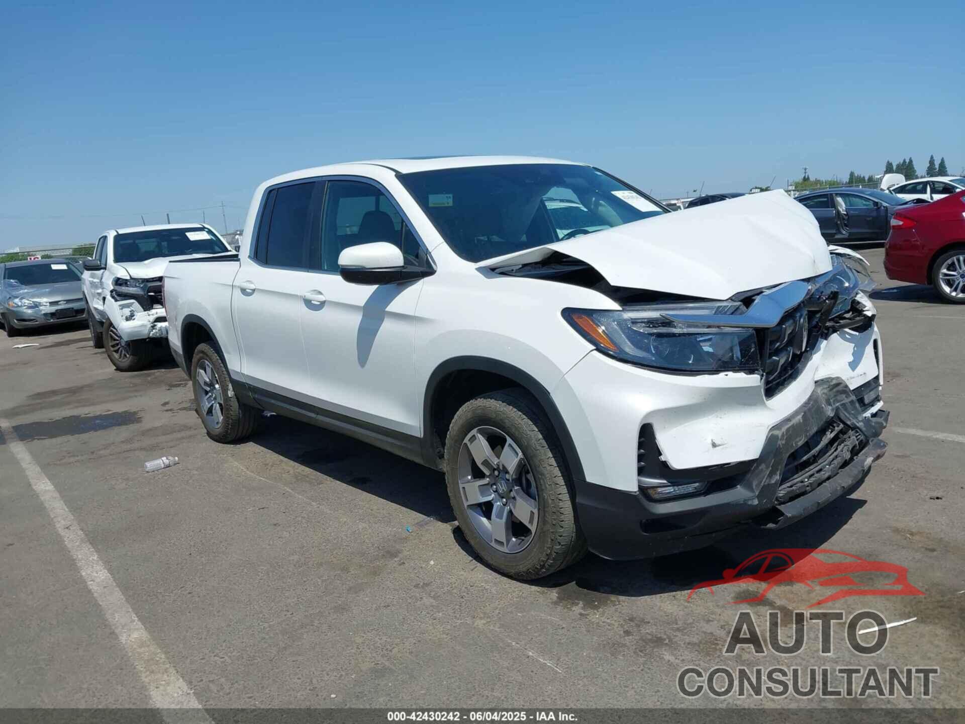 HONDA RIDGELINE 2024 - 5FPYK3F53RB003787