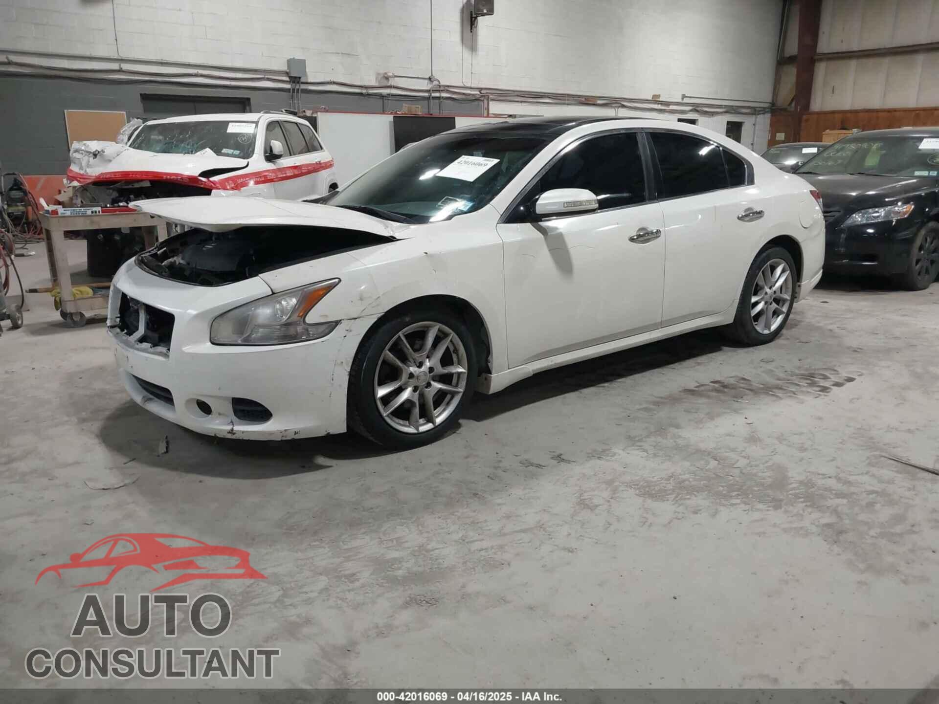 NISSAN MAXIMA 2011 - 1N4AA5AP1BC802204