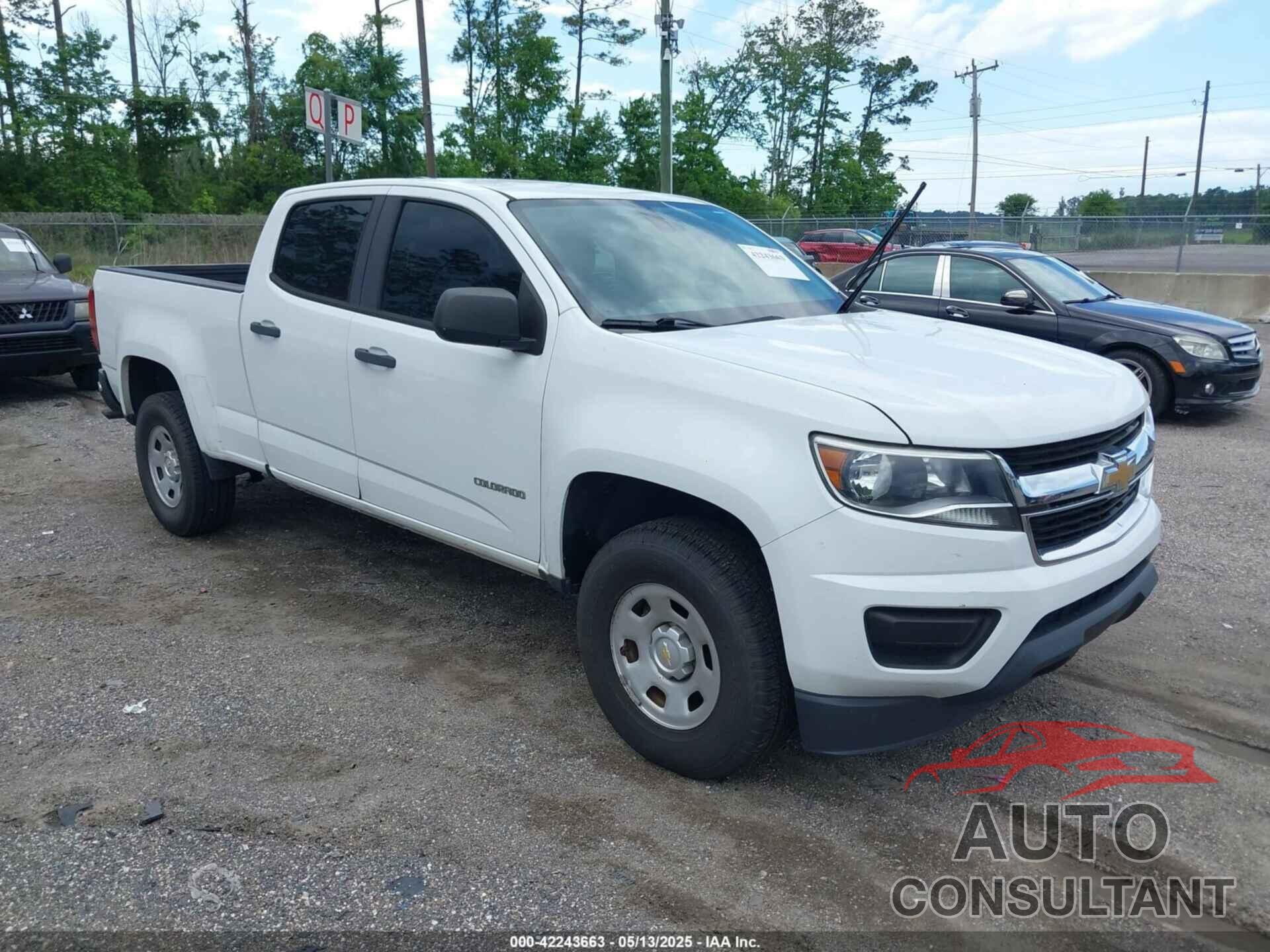 CHEVROLET COLORADO 2019 - 1GCGSBEN2K1124325