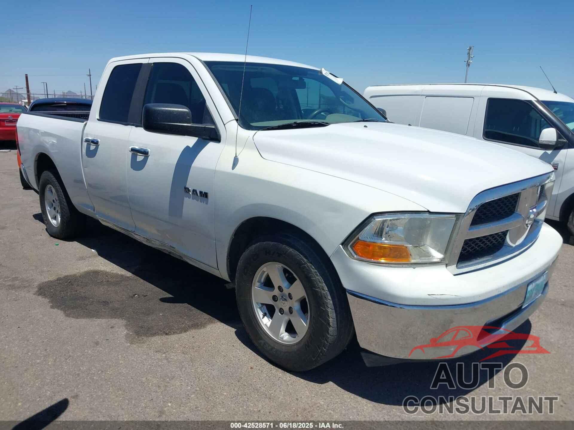 DODGE RAM 1500 2010 - 1D7RB1GP4AS138078