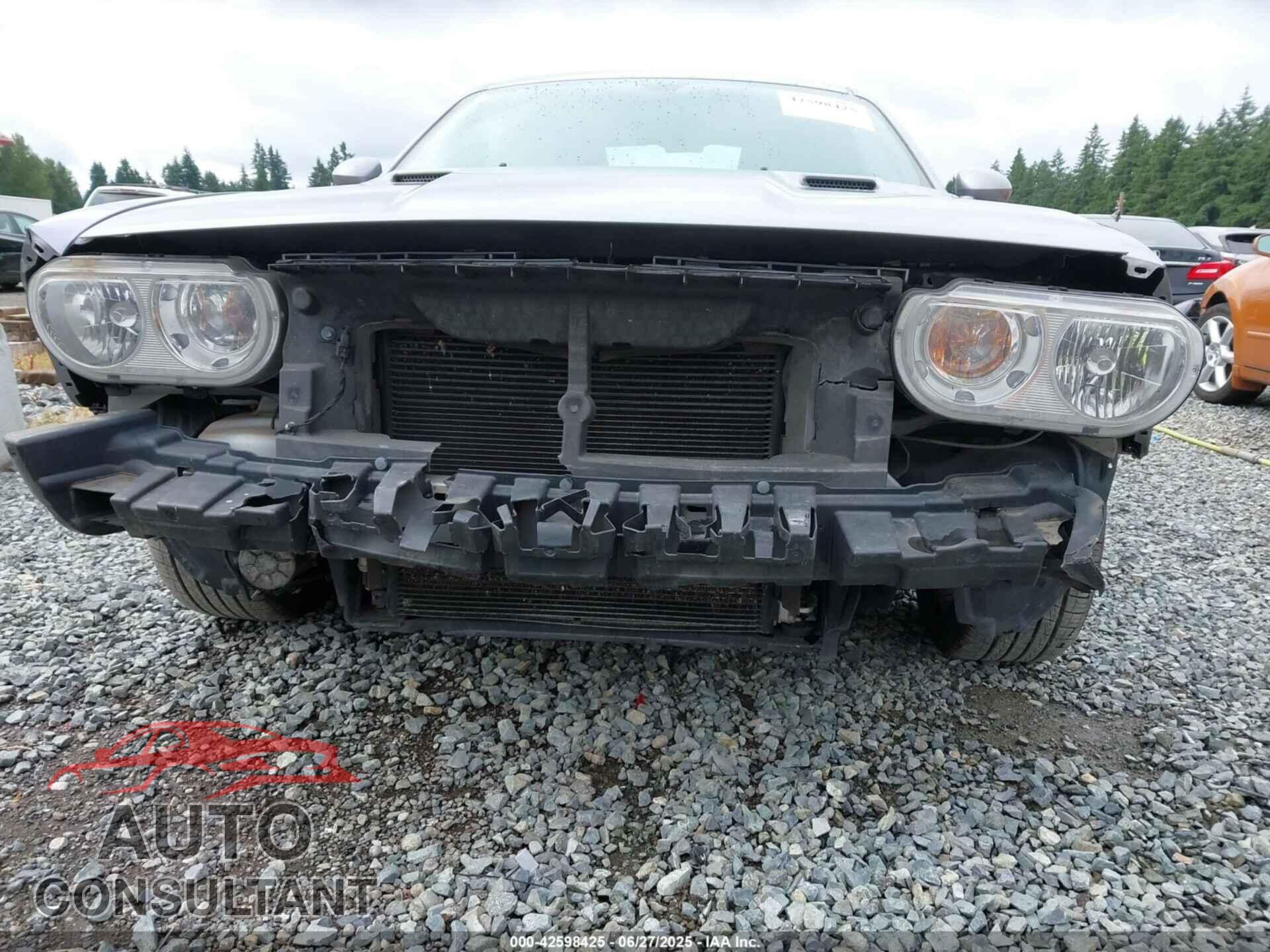 DODGE CHALLENGER 2013 - 2C3CDYAGXDH569438