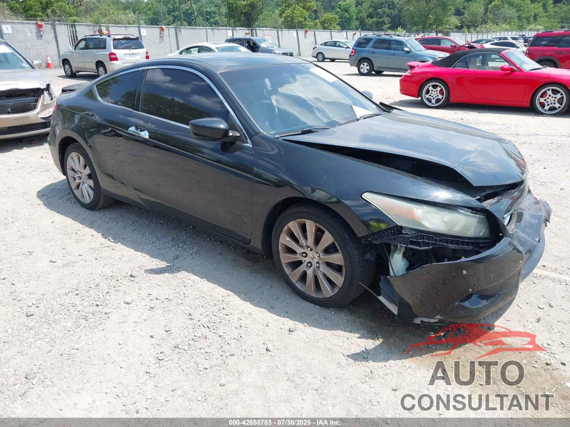 HONDA ACCORD 2010 - 1HGCS2B84AA007388