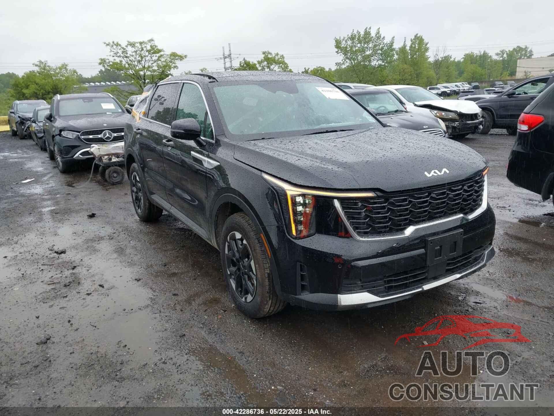 KIA SORENTO 2025 - 5XYRLDJC6SG328292