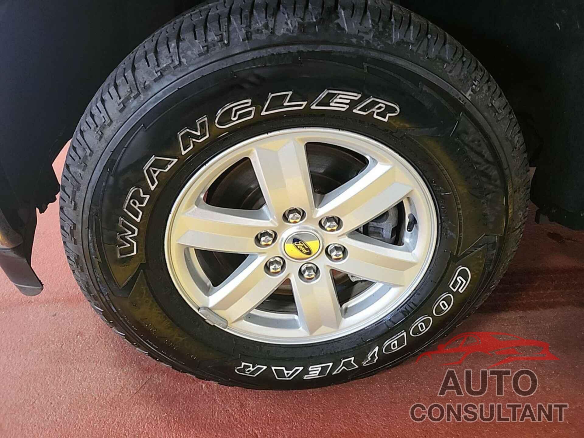 FORD F-150 2021 - 1FTFW1E82MKE08149