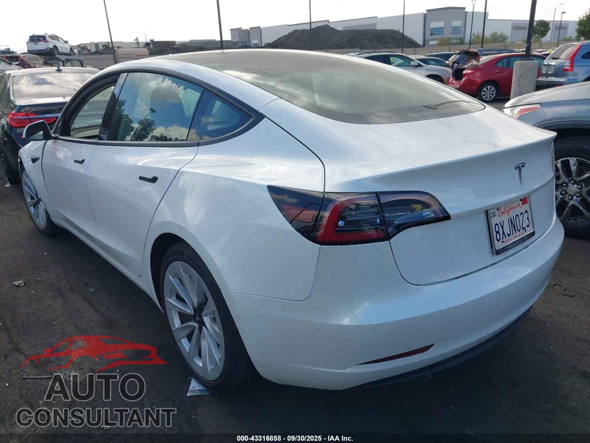 TESLA MODEL 3 2021 - 5YJ3E1EA2MF018190