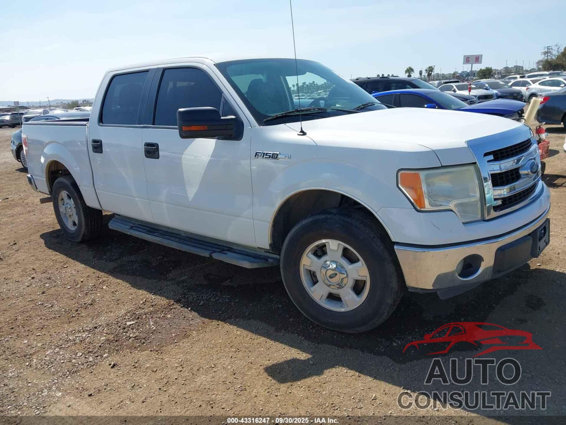 FORD F-150 2013 - 1FTEW1CMXDKE24692