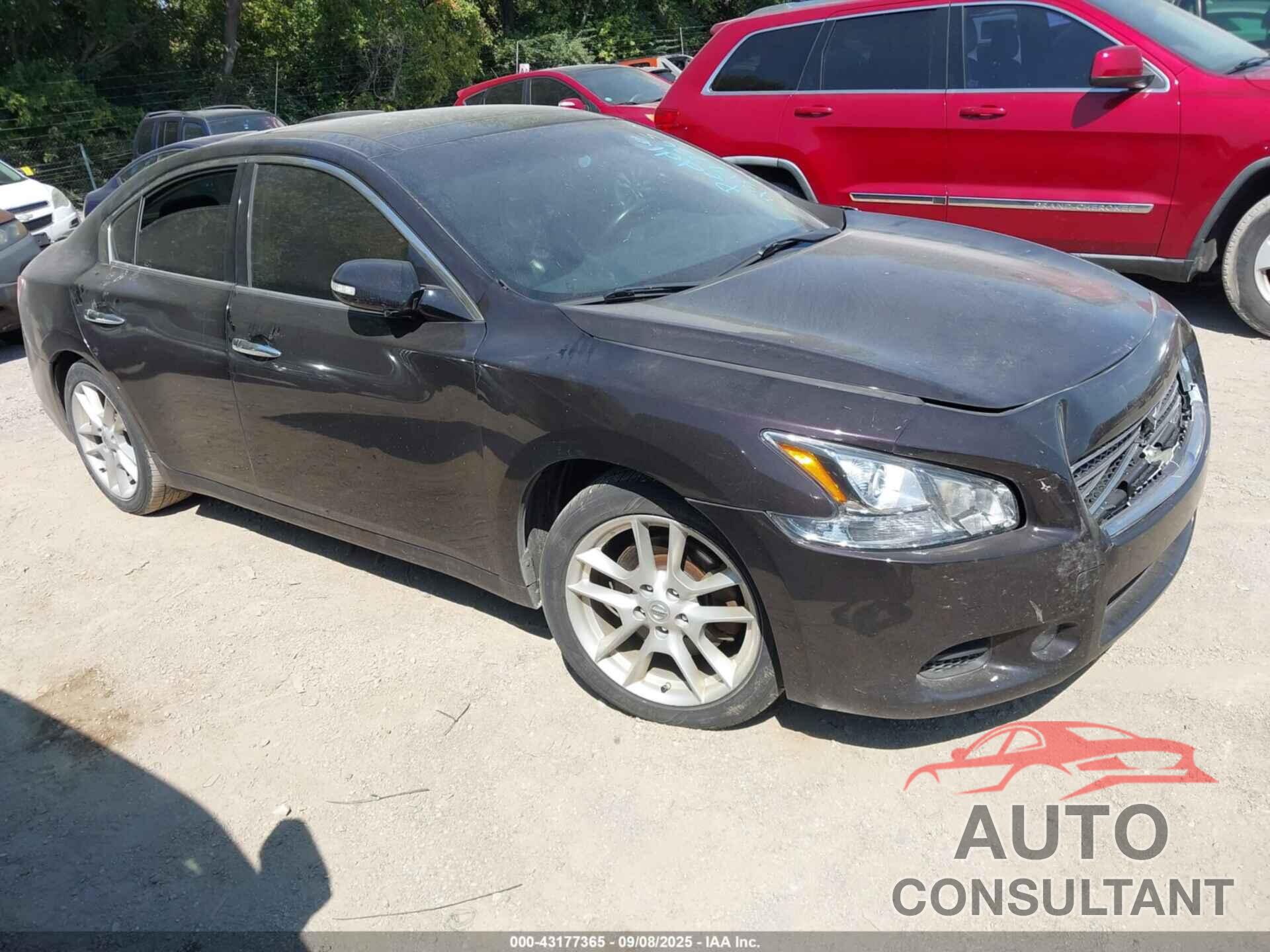 NISSAN MAXIMA 2011 - 1N4AA5APXBC843740