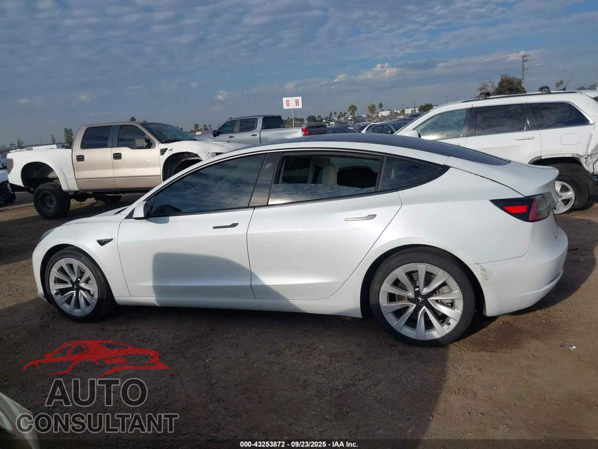 TESLA MODEL 3 2021 - 5YJ3E1EA7MF879252