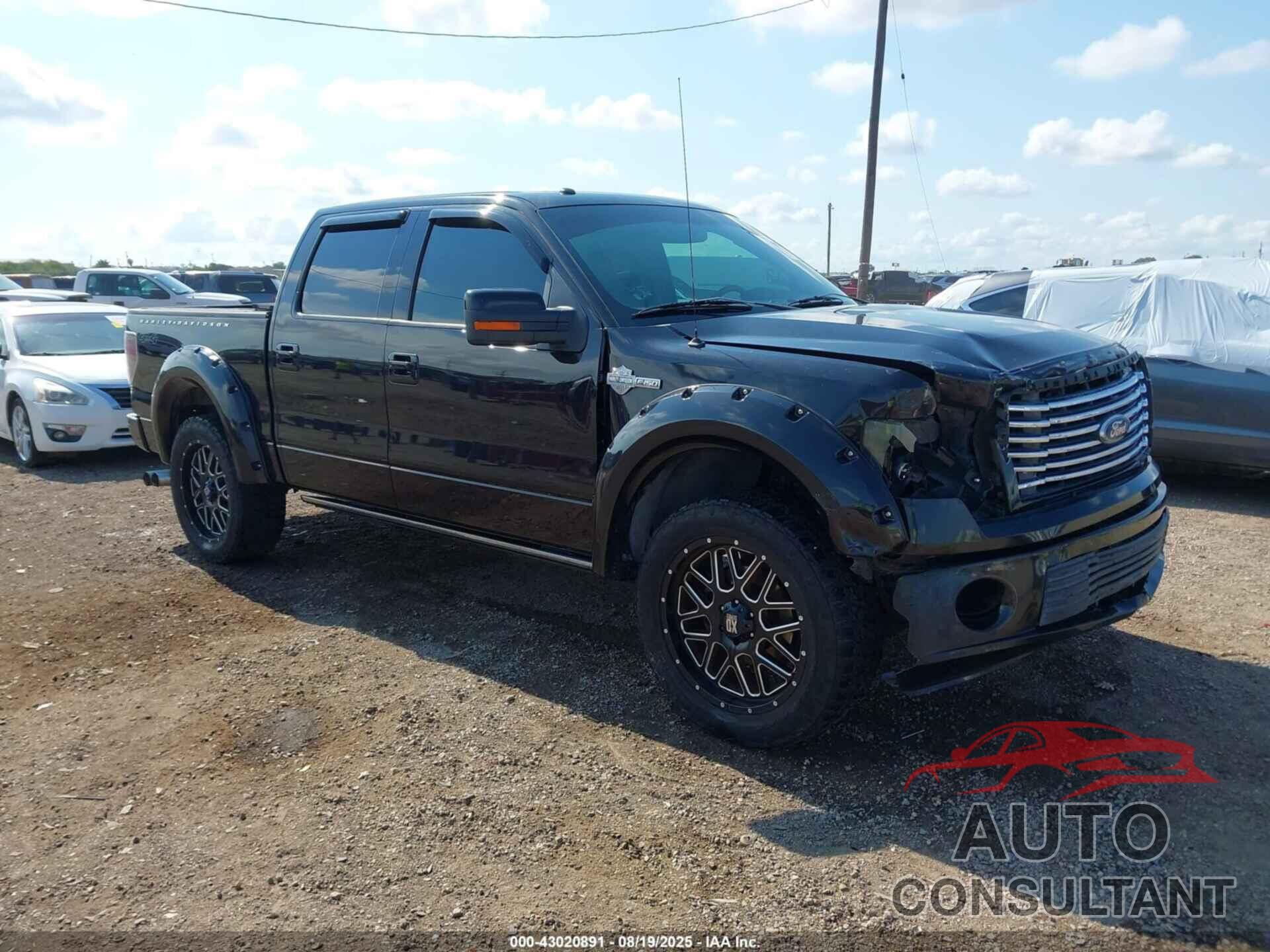 FORD F-150 2010 - 1FTFW1EV5AFD38205