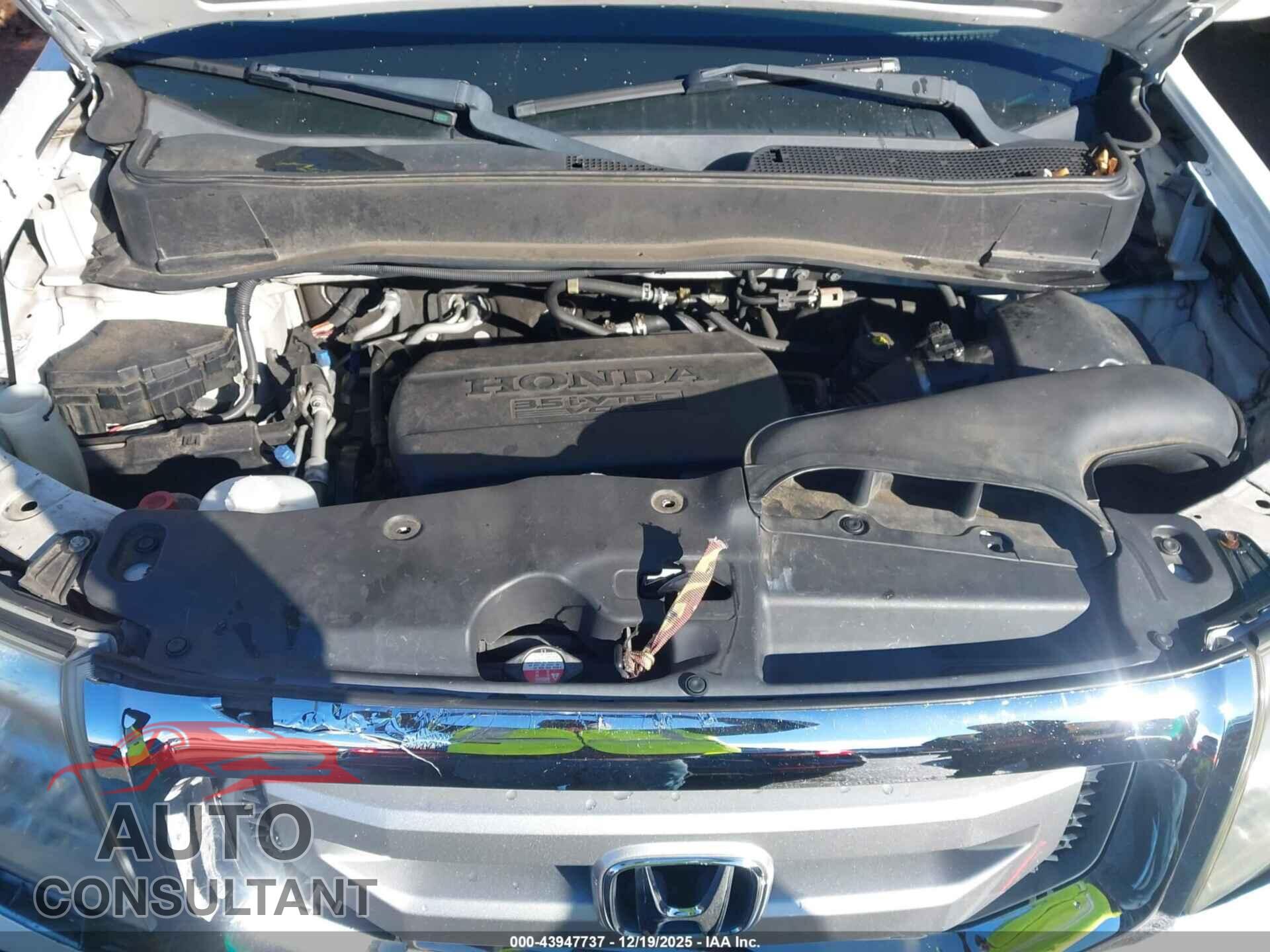 HONDA PILOT 2011 - 5FNYF4H95BB096532