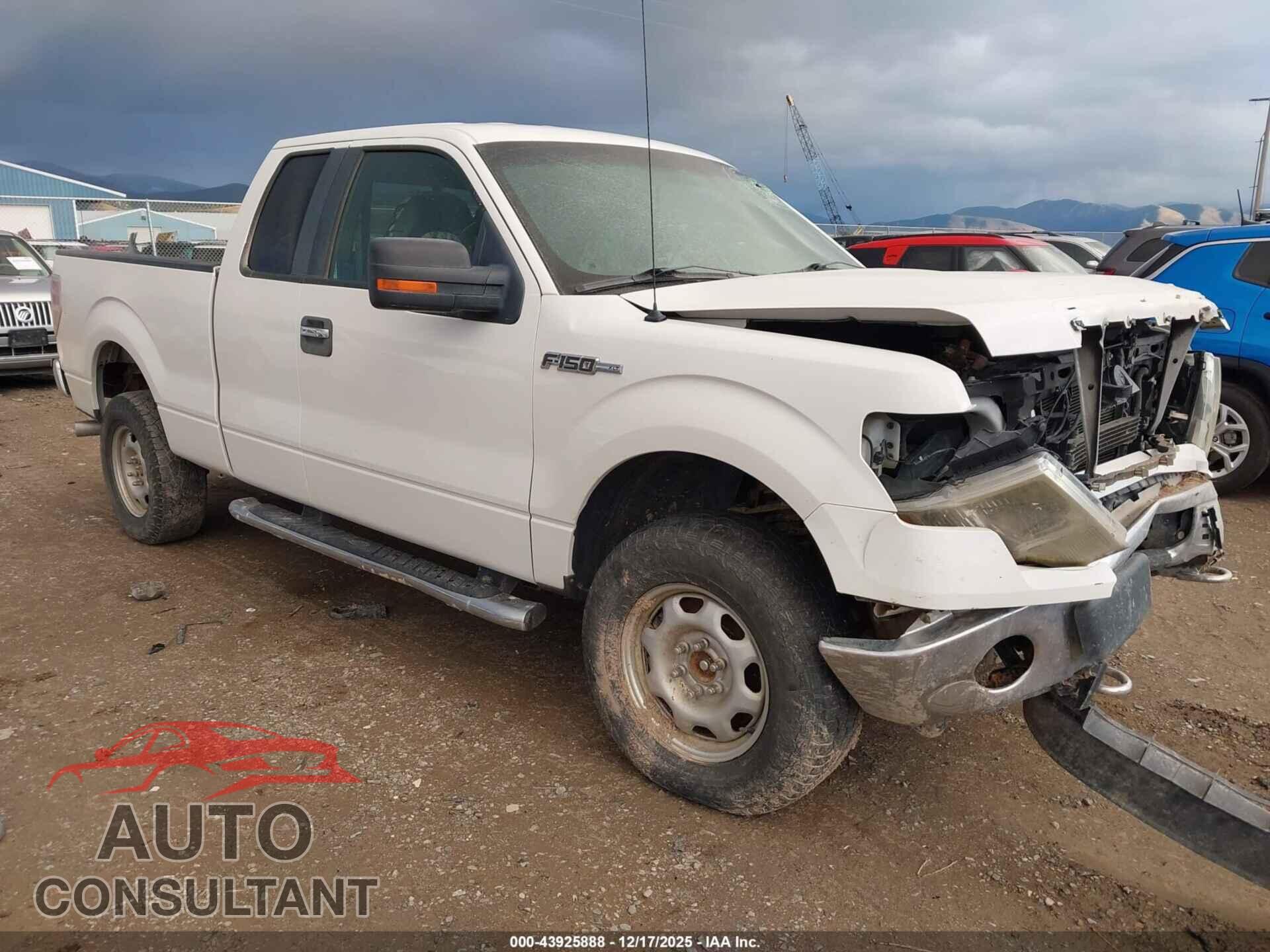 FORD F-150 2012 - 1FTFX1EF5CFD00899