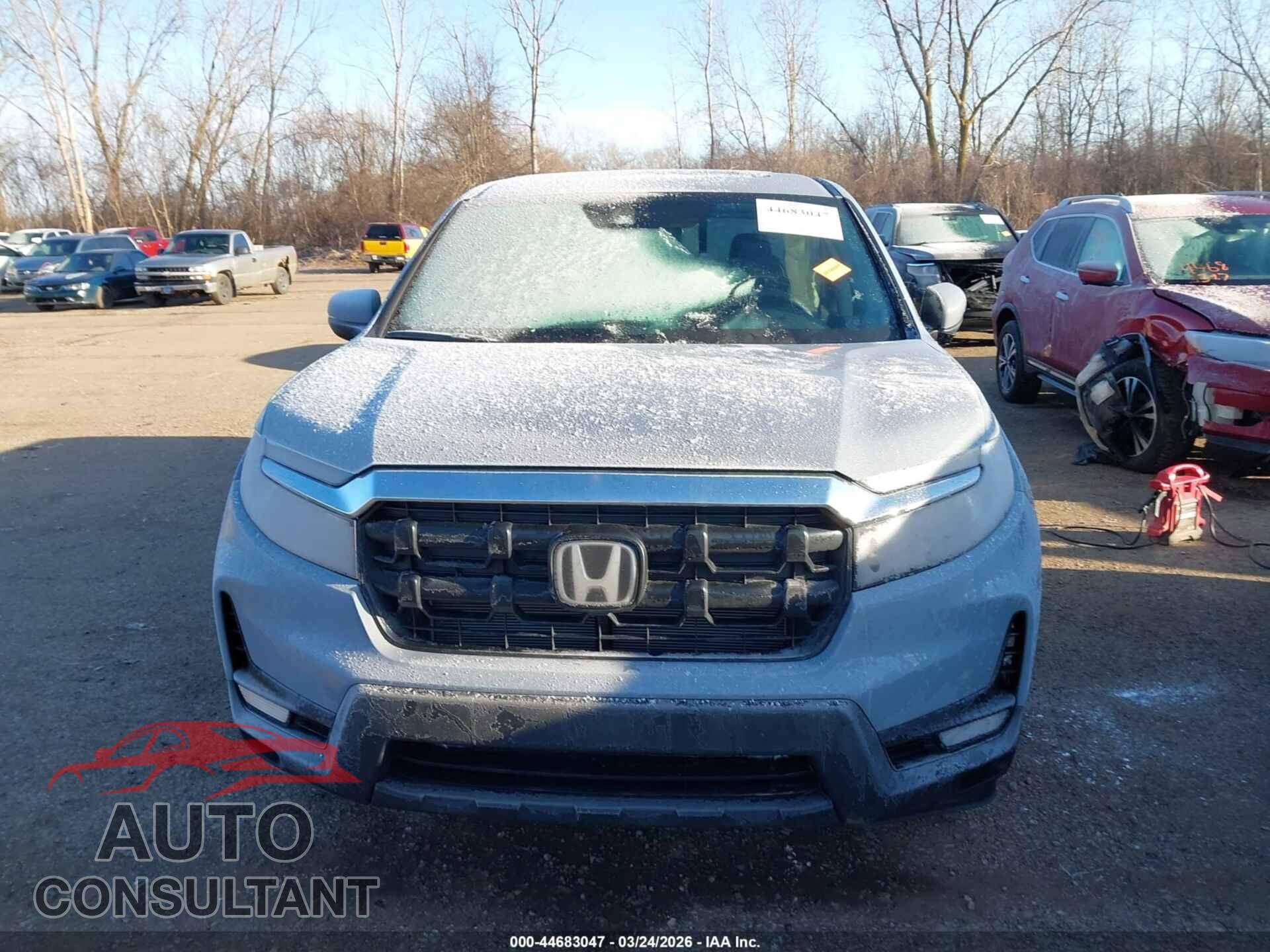 HONDA RIDGELINE 2026 - 5FPYK3F55TB000624